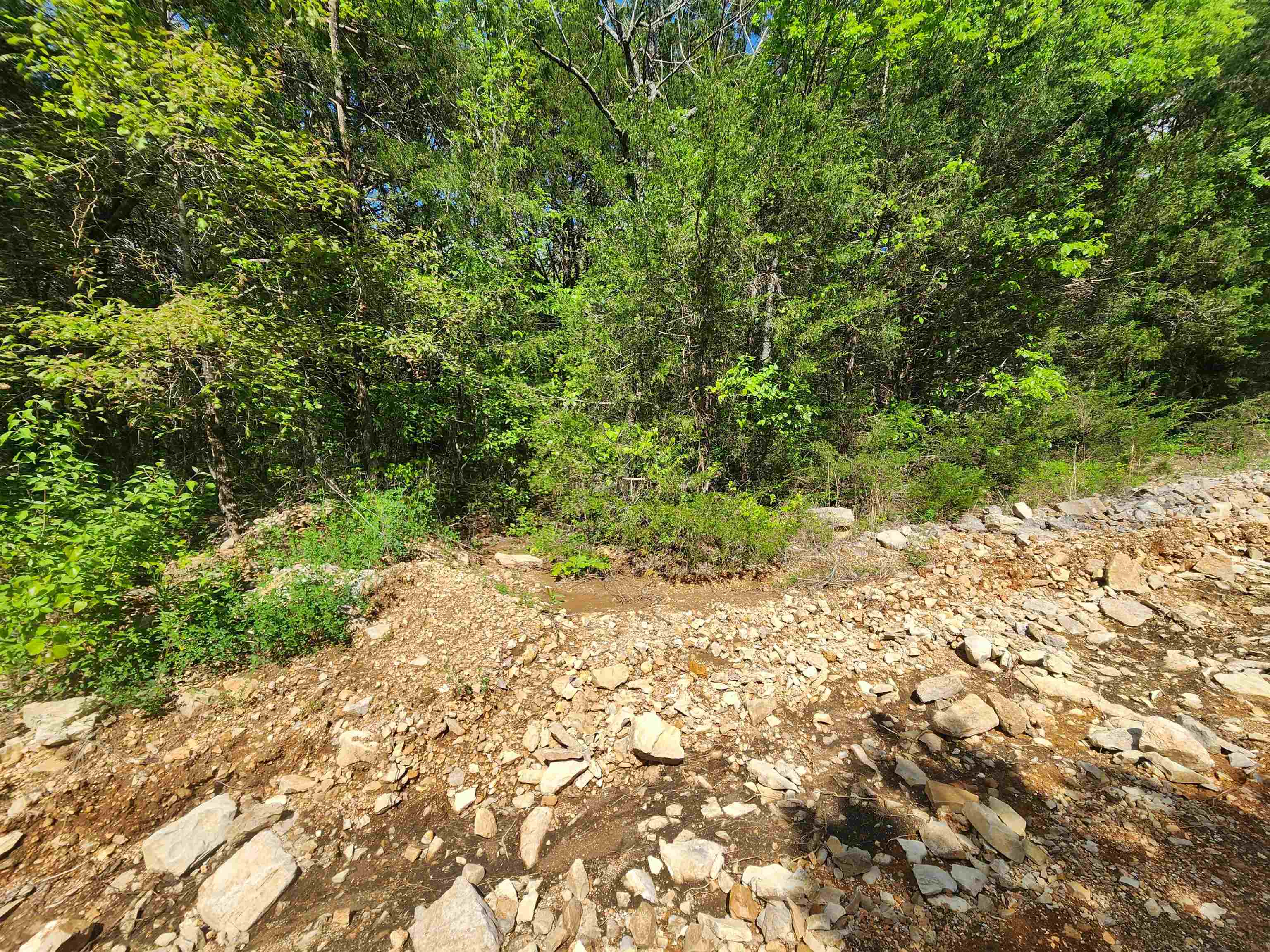 Strawberry Valley Road Property Photo 10