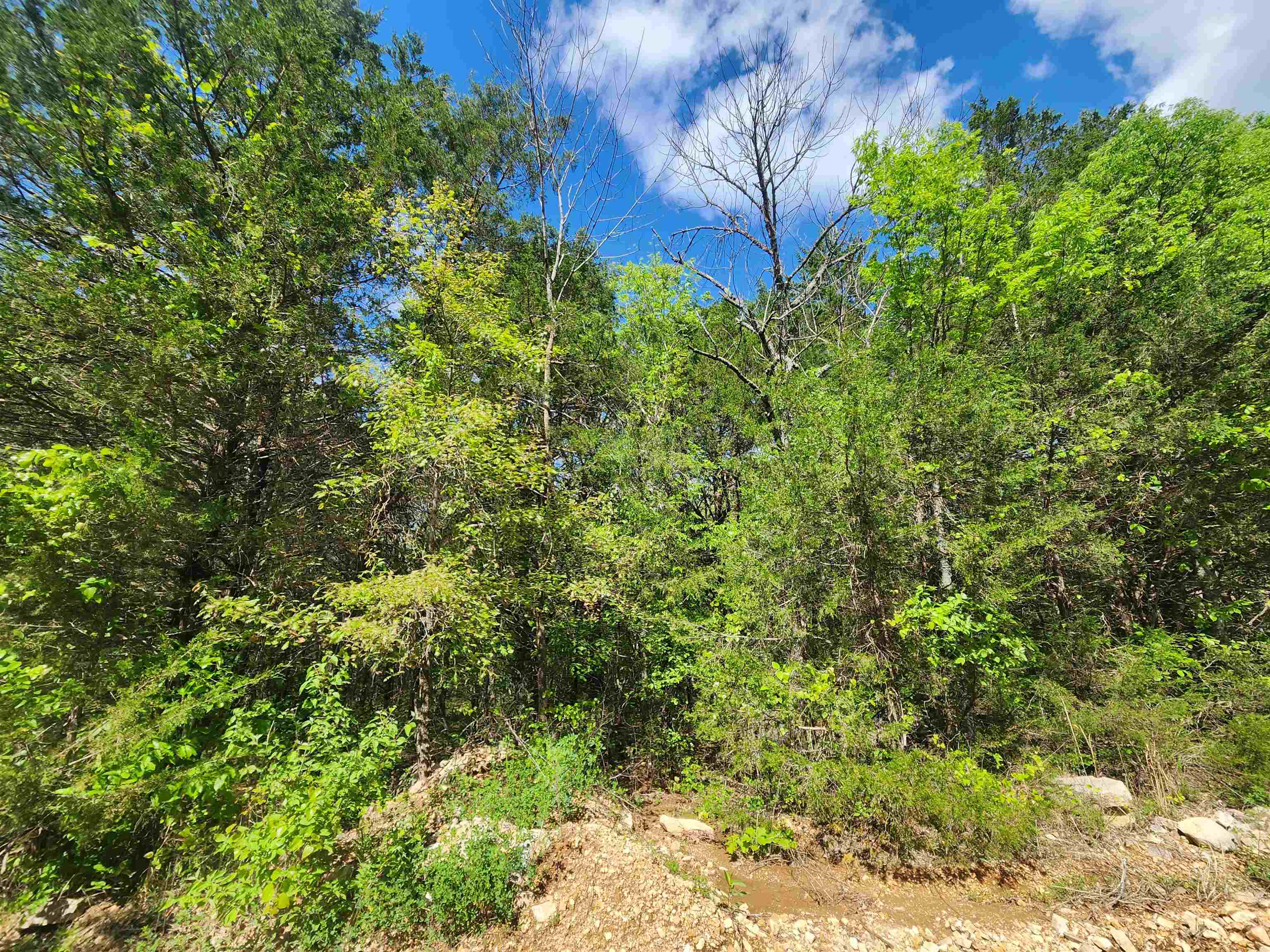 Strawberry Valley Road Property Photo 11