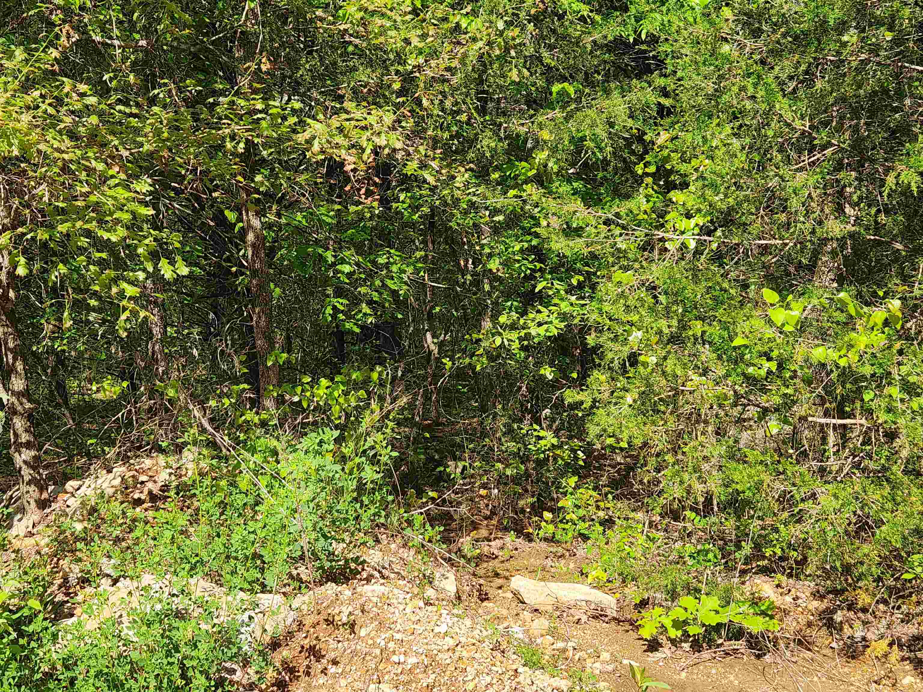 Strawberry Valley Road Property Photo 12