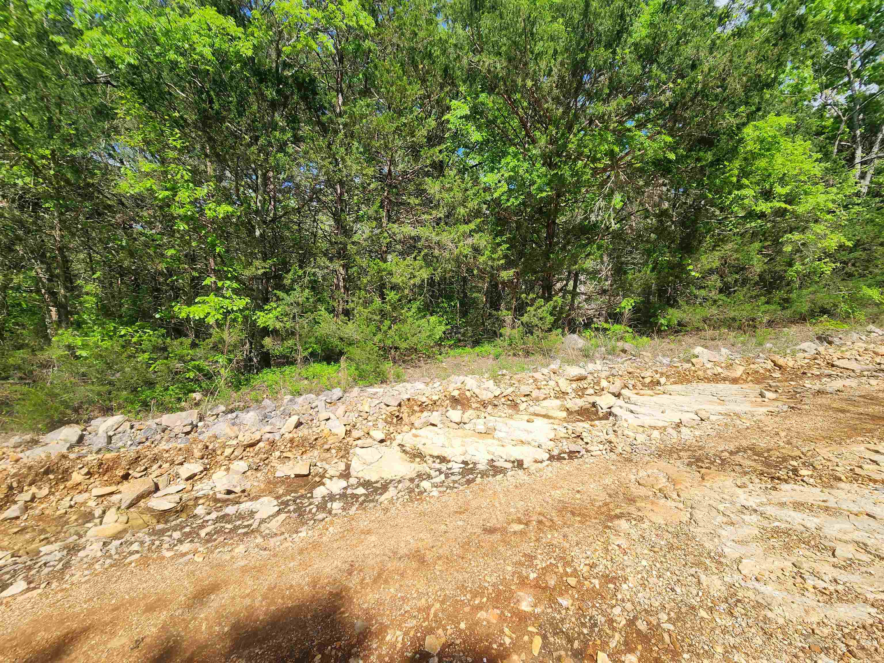 Strawberry Valley Road Property Photo 13