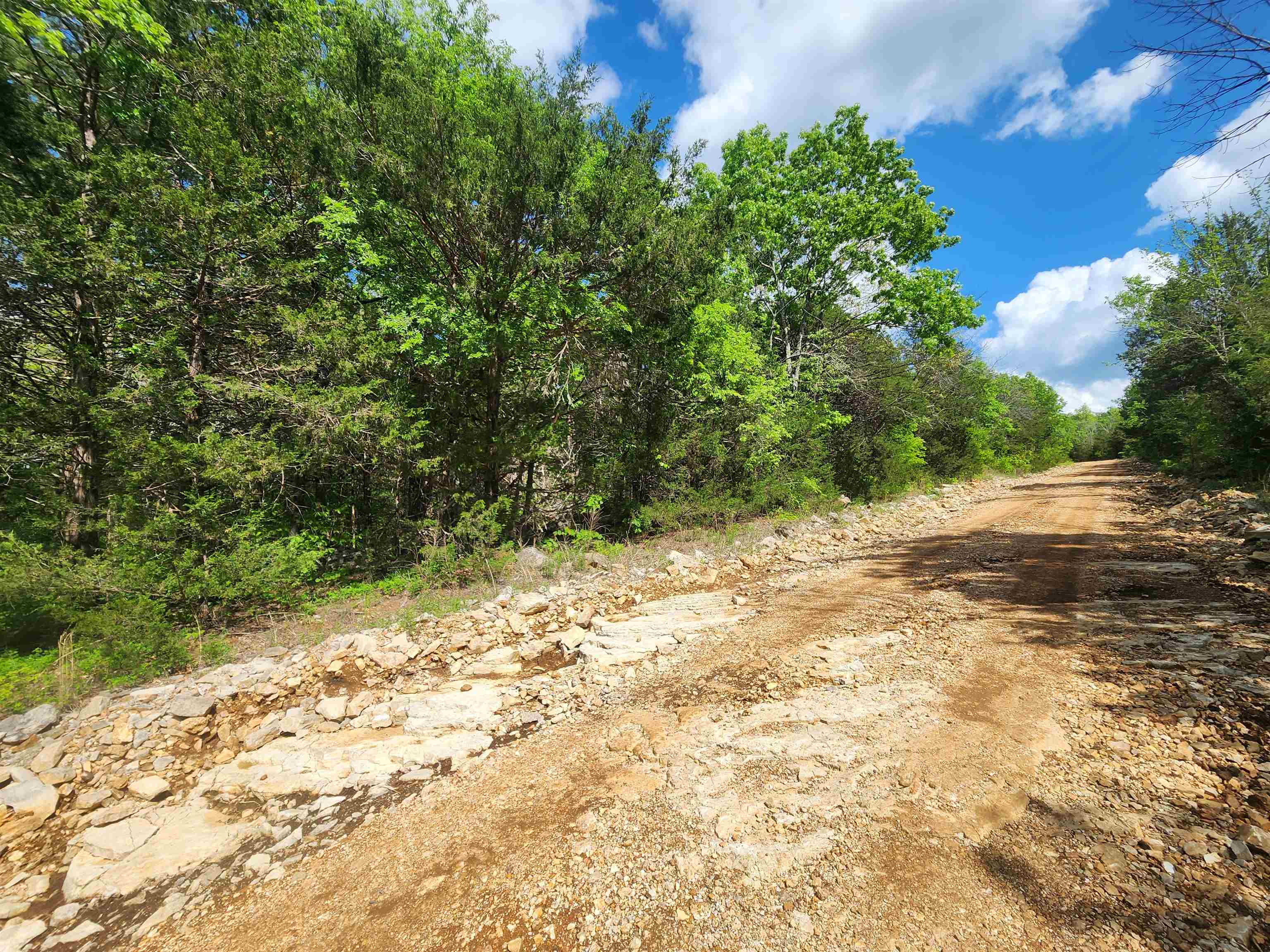 Strawberry Valley Road Property Photo 14