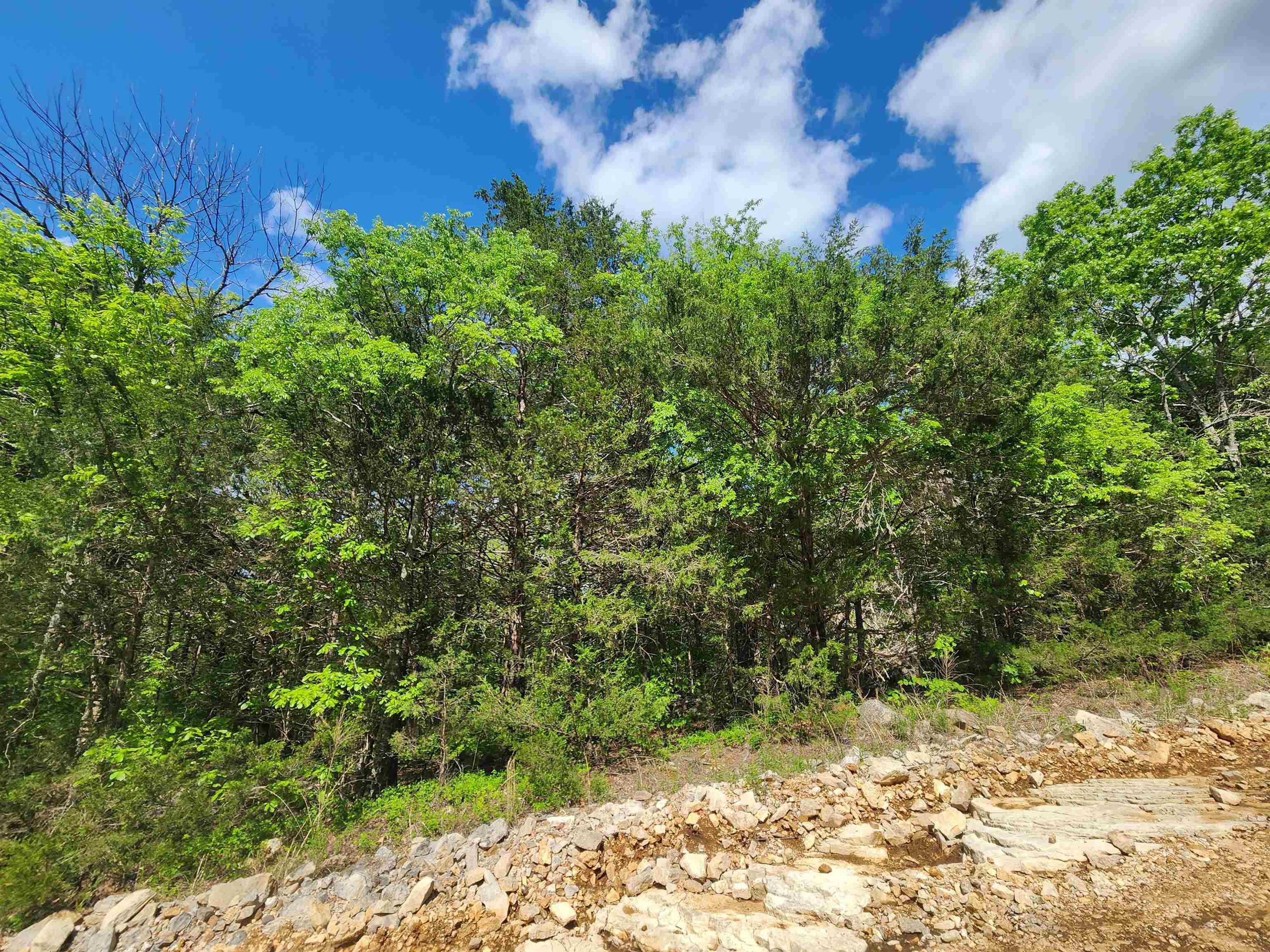 Strawberry Valley Road Property Photo 15