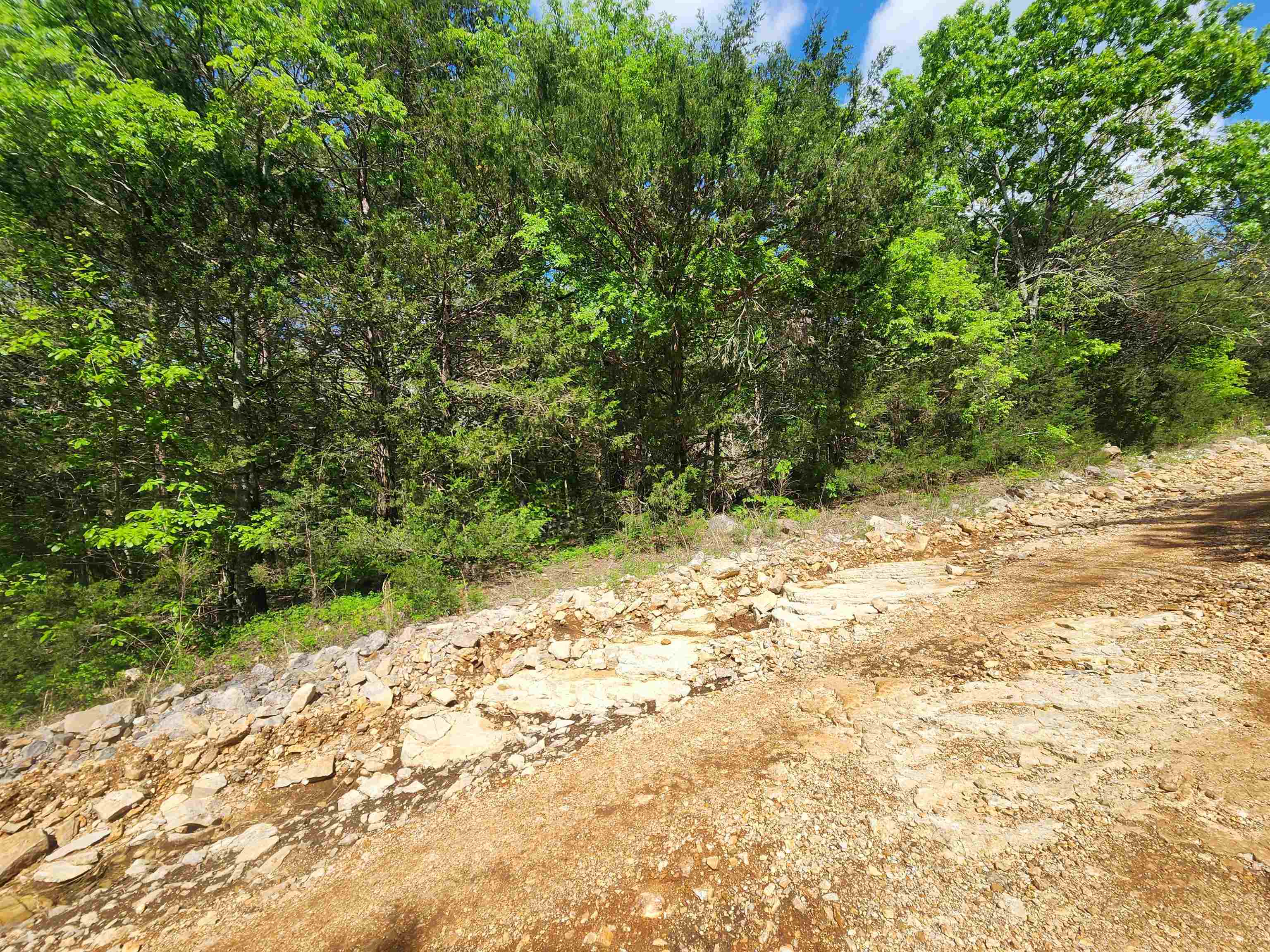 Strawberry Valley Road Property Photo 16