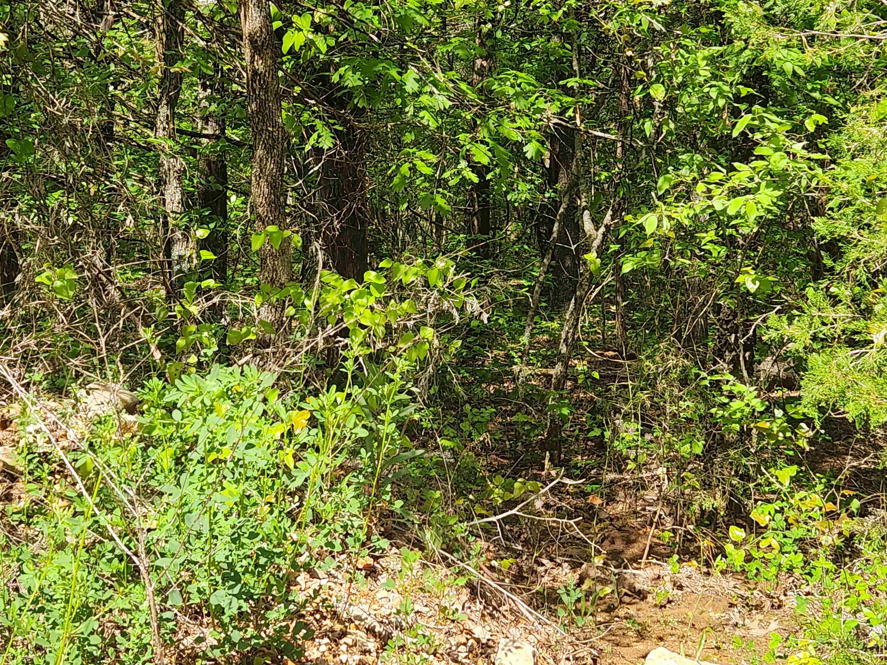 Strawberry Valley Road Property Photo 17