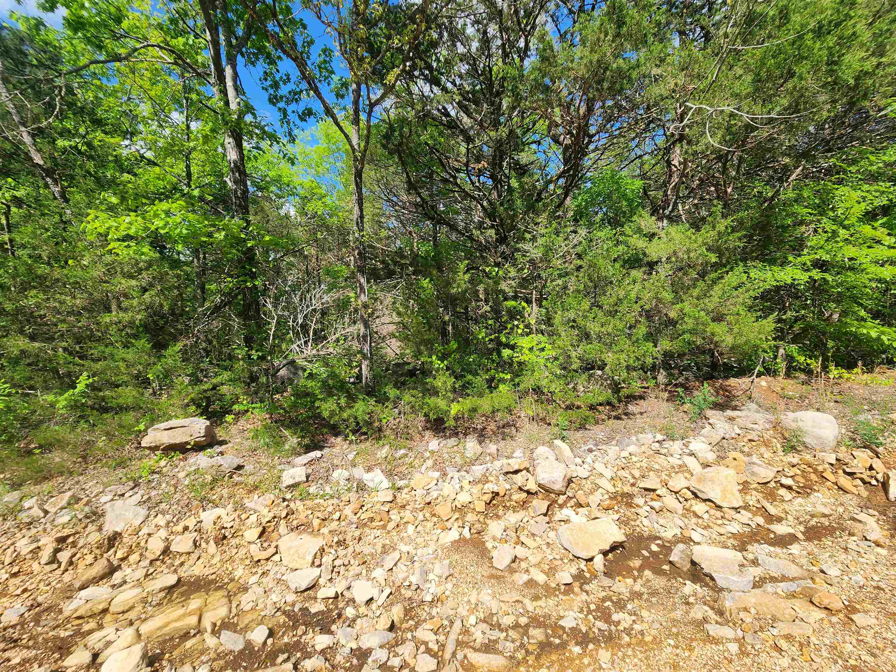 Strawberry Valley Road Property Photo 18