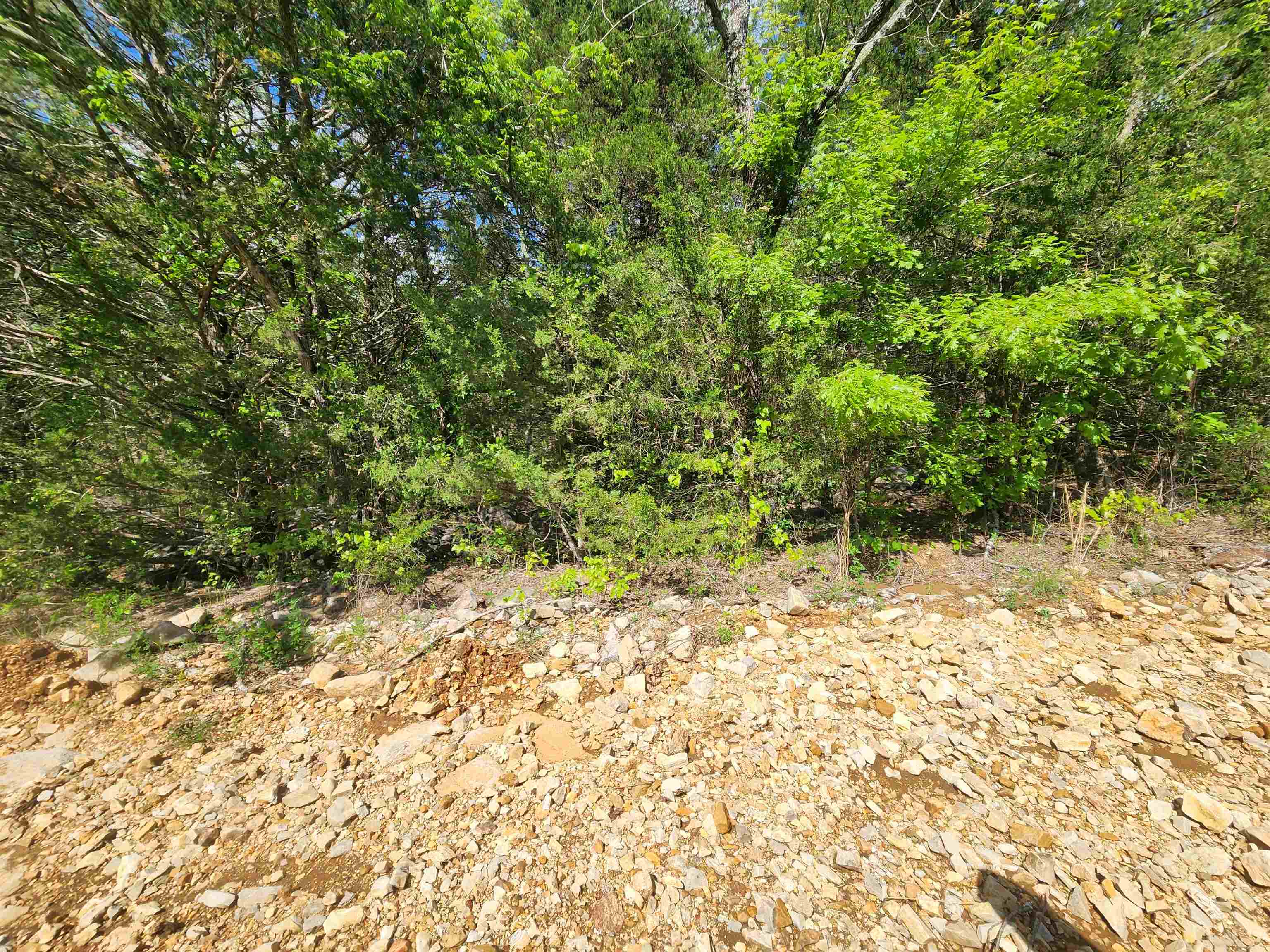 Strawberry Valley Road Property Photo 19