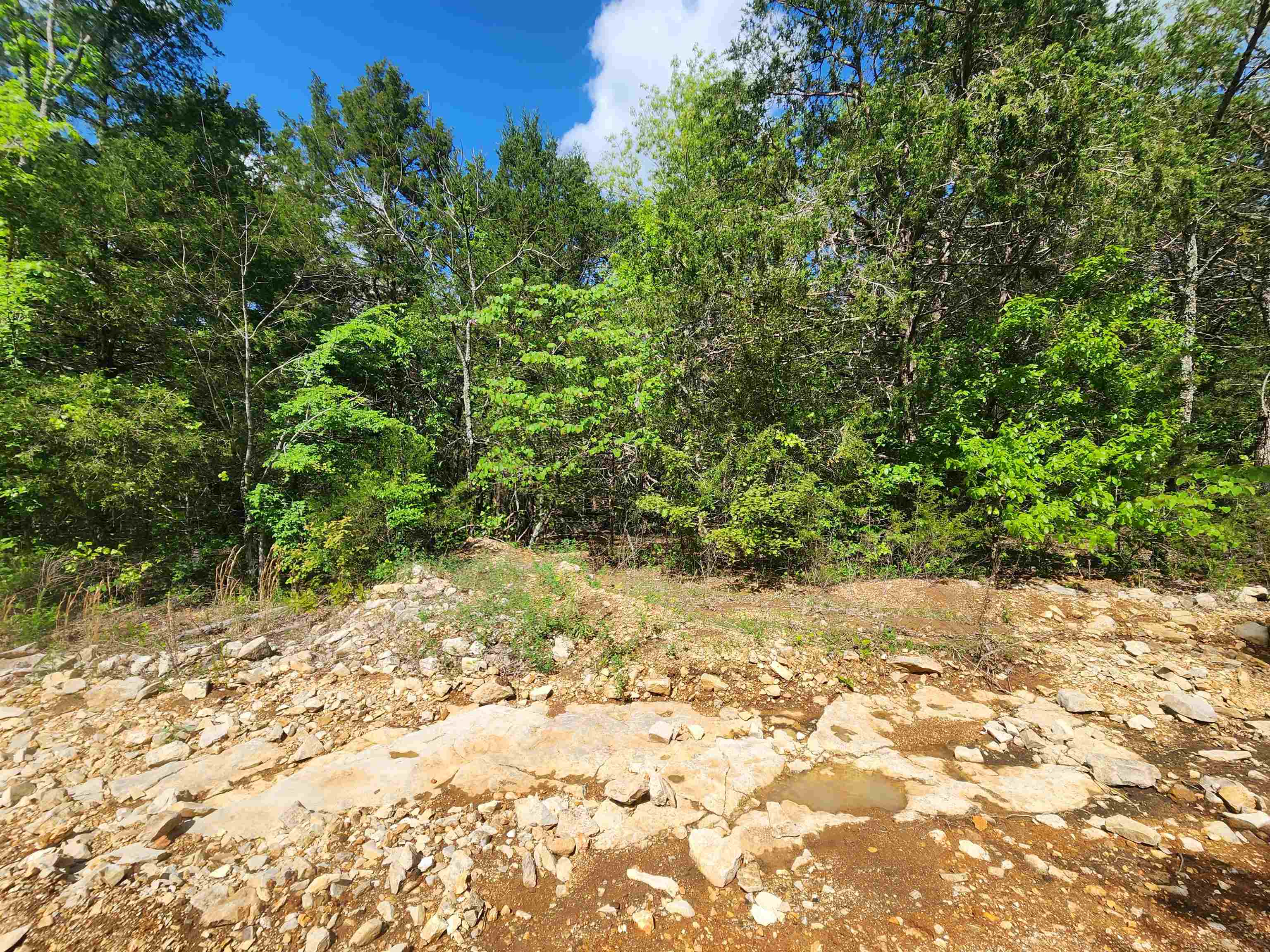 Strawberry Valley Road Property Photo 20