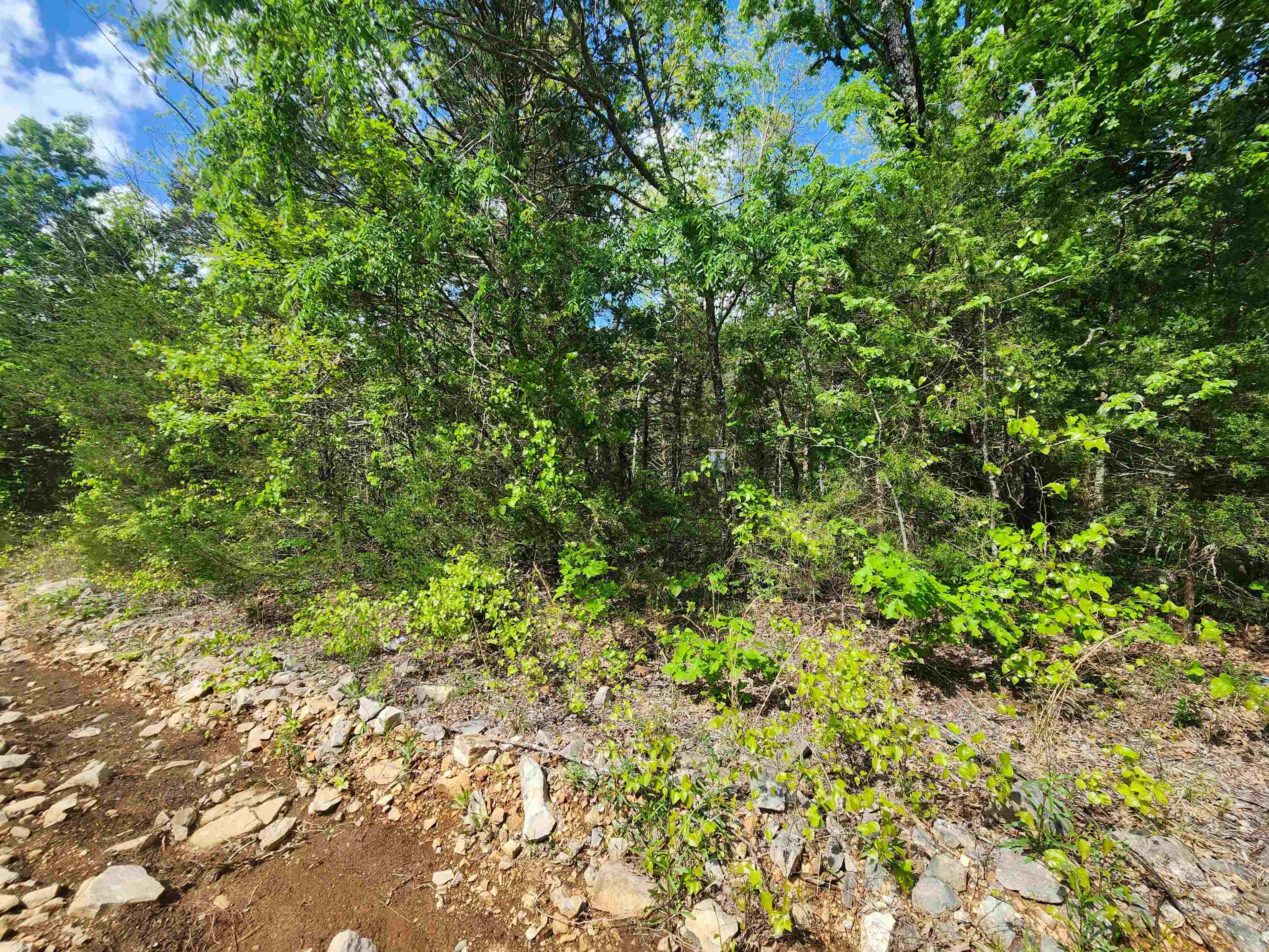 Strawberry Valley Road Property Photo 21