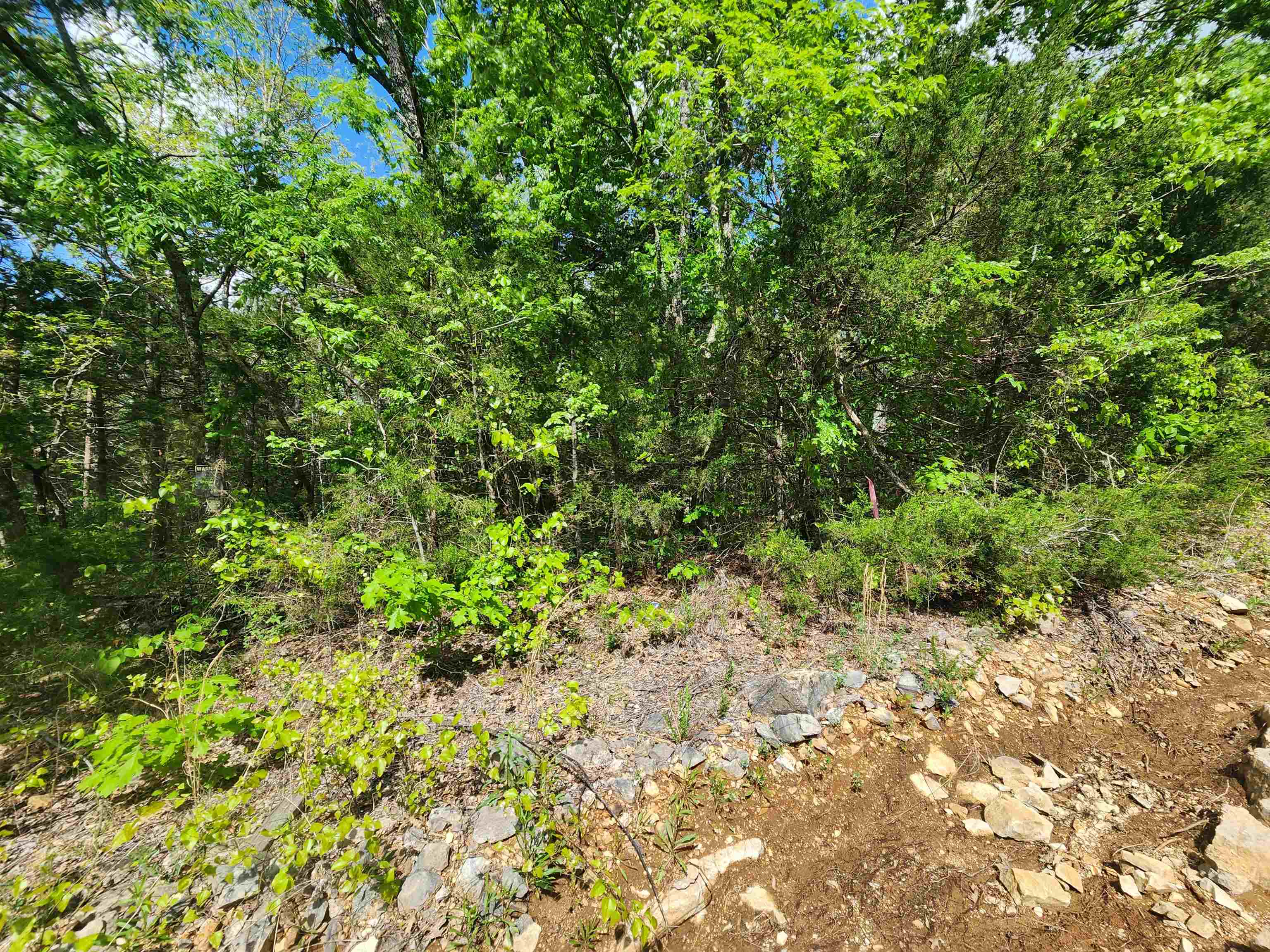 Strawberry Valley Road Property Photo 22