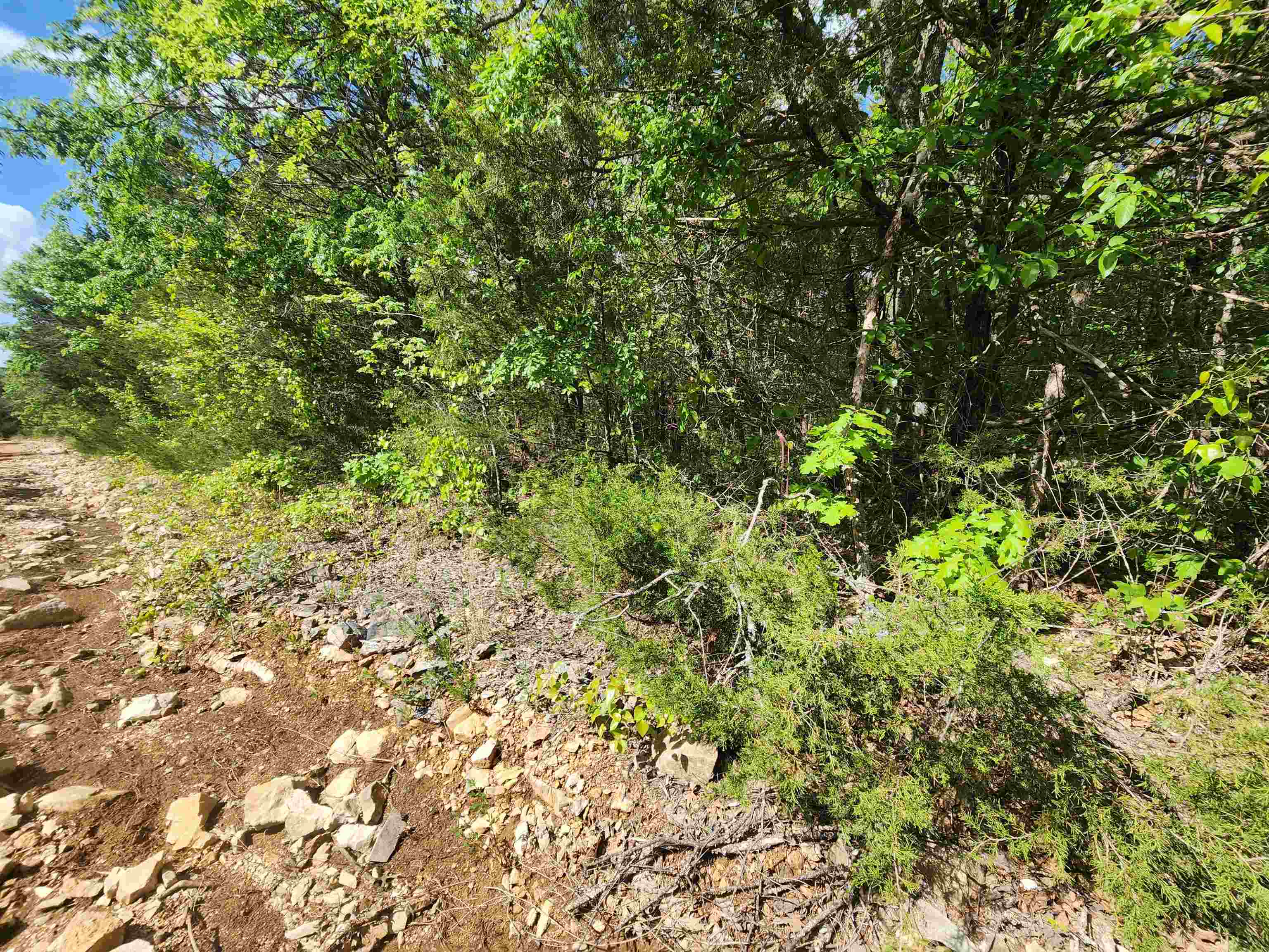 Strawberry Valley Road Property Photo 23
