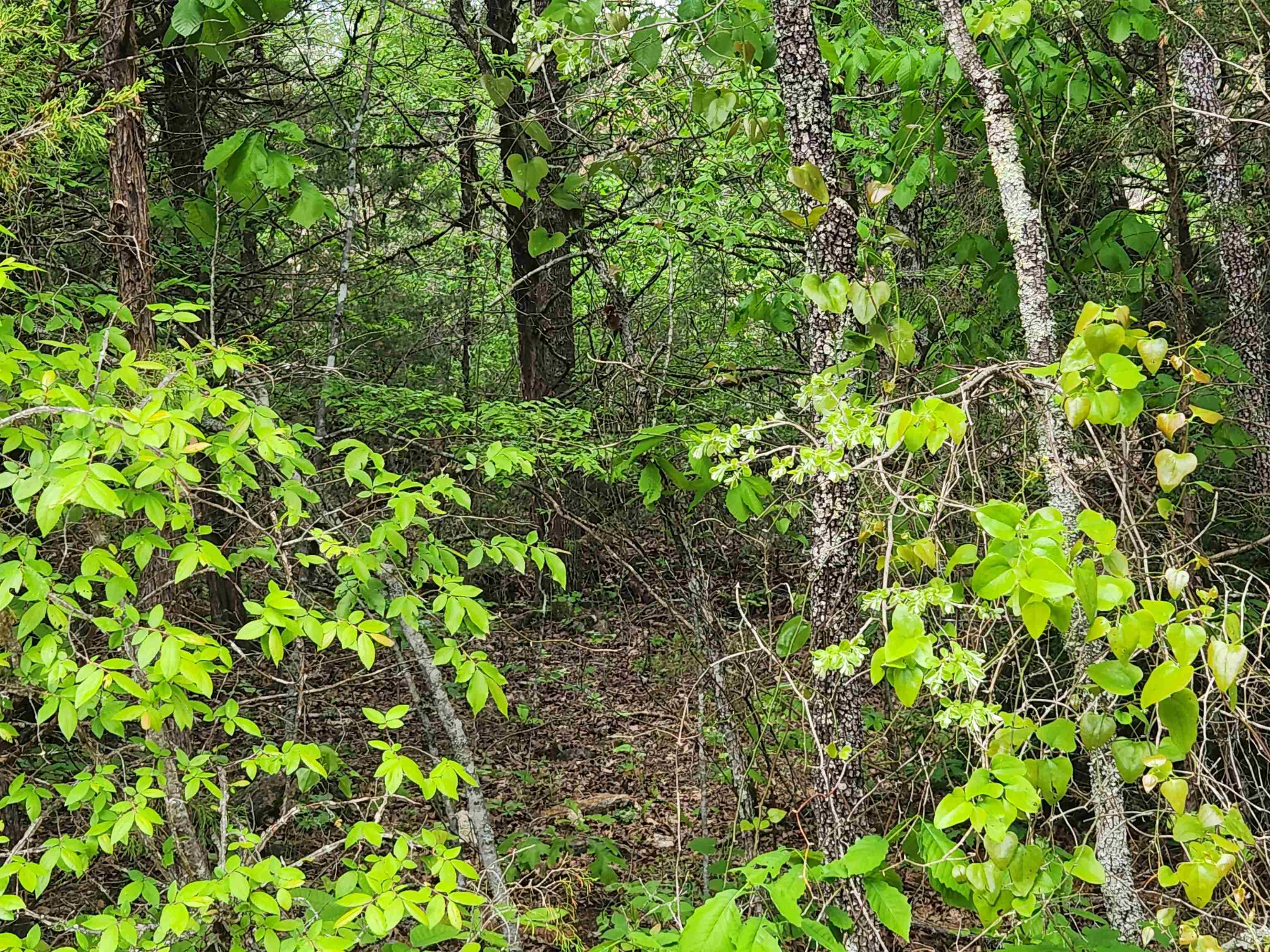 Strawberry Valley Road Property Photo 1