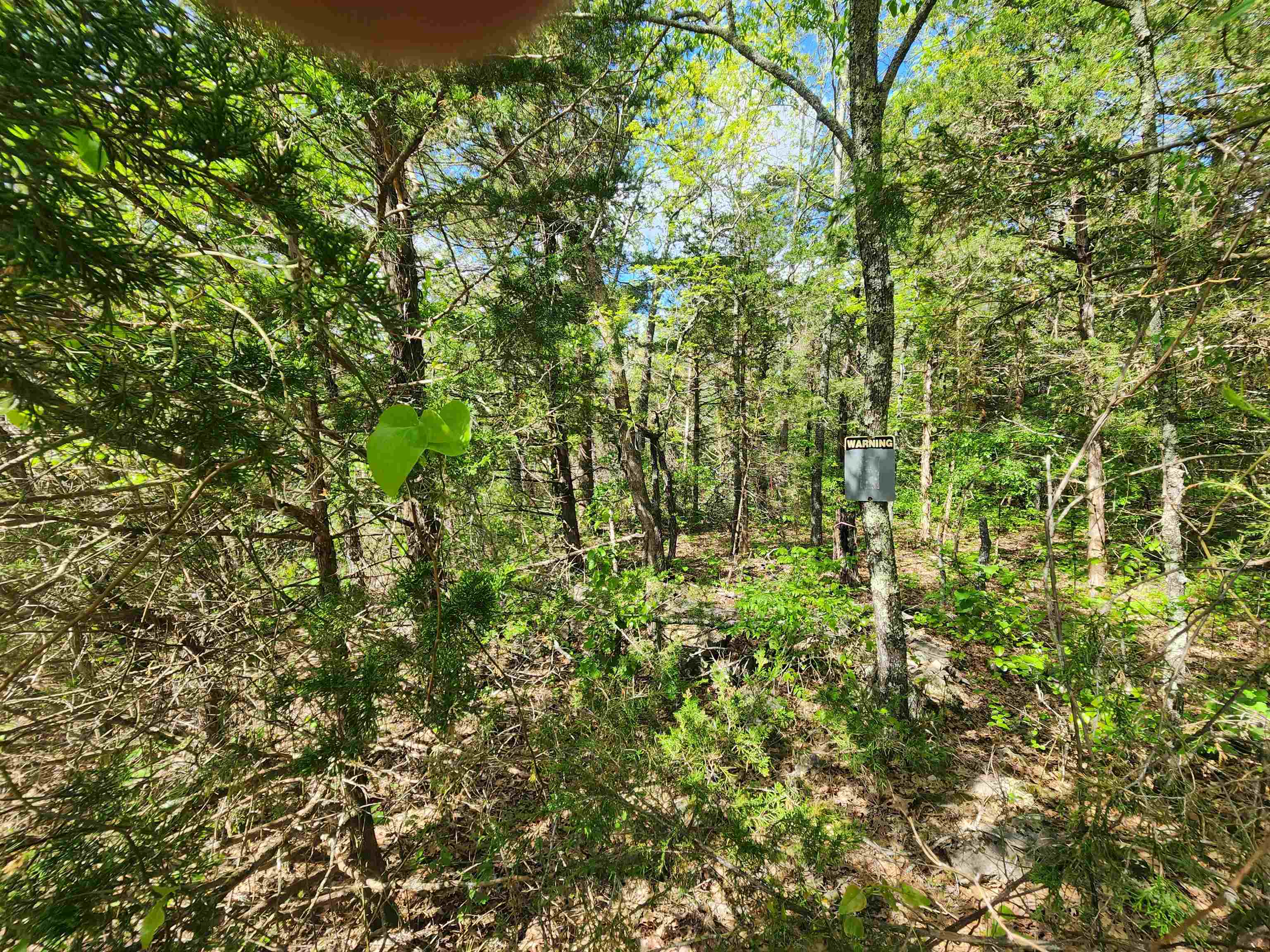 Strawberry Valley Road Property Photo 6