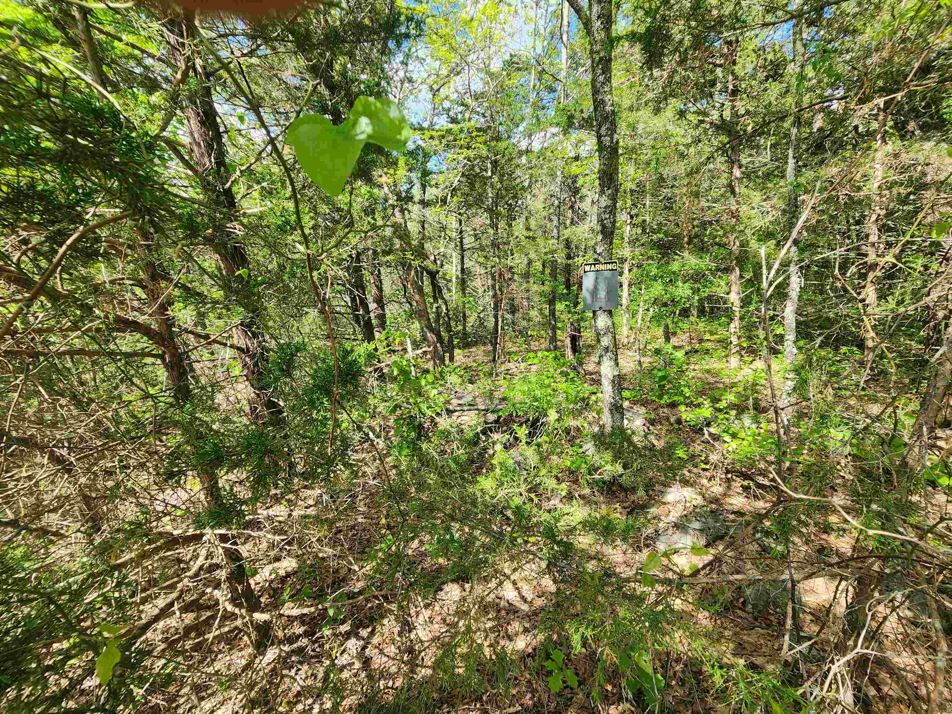 Strawberry Valley Road Property Photo 7