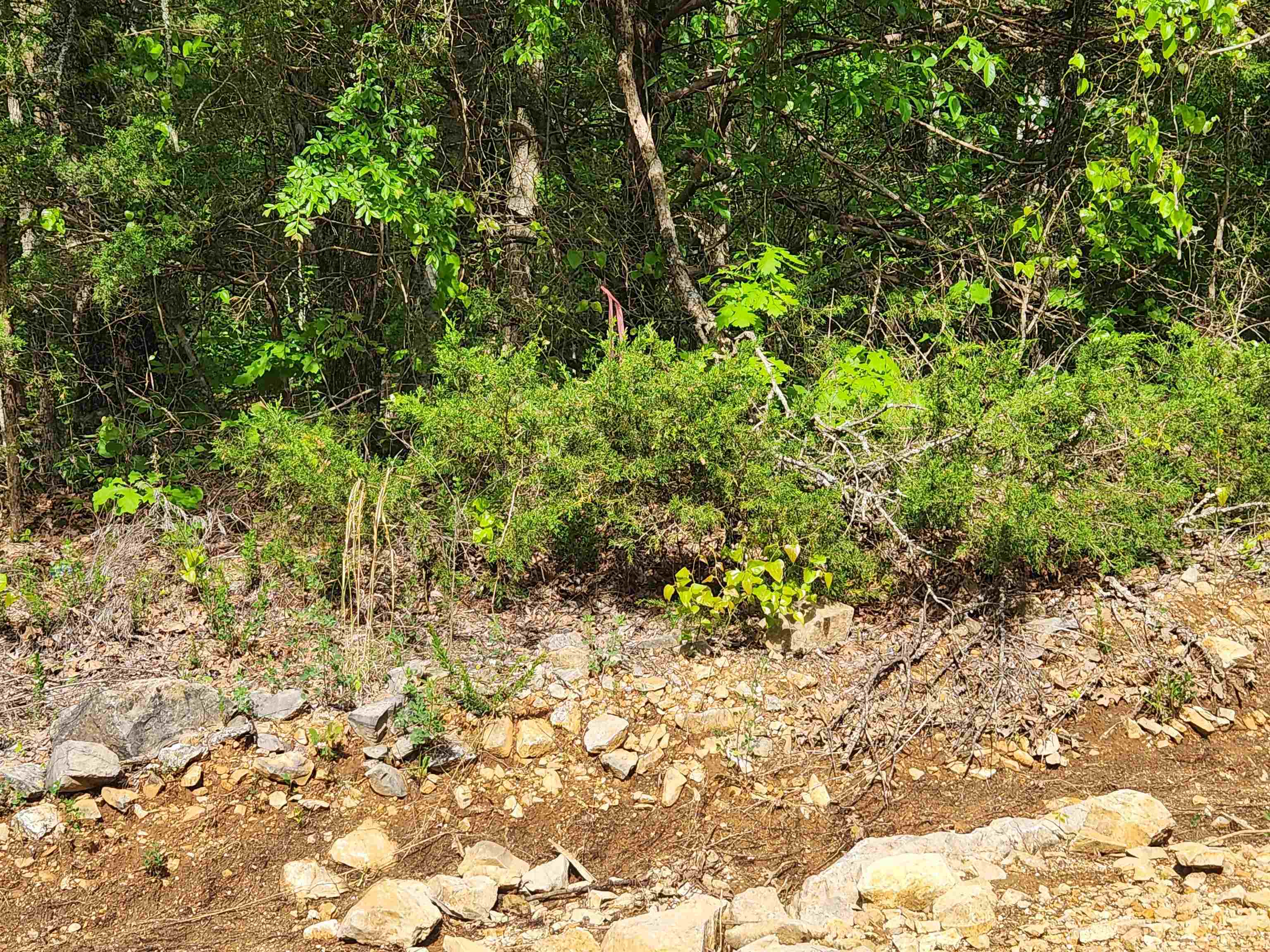 Strawberry Valley Road Property Photo 9