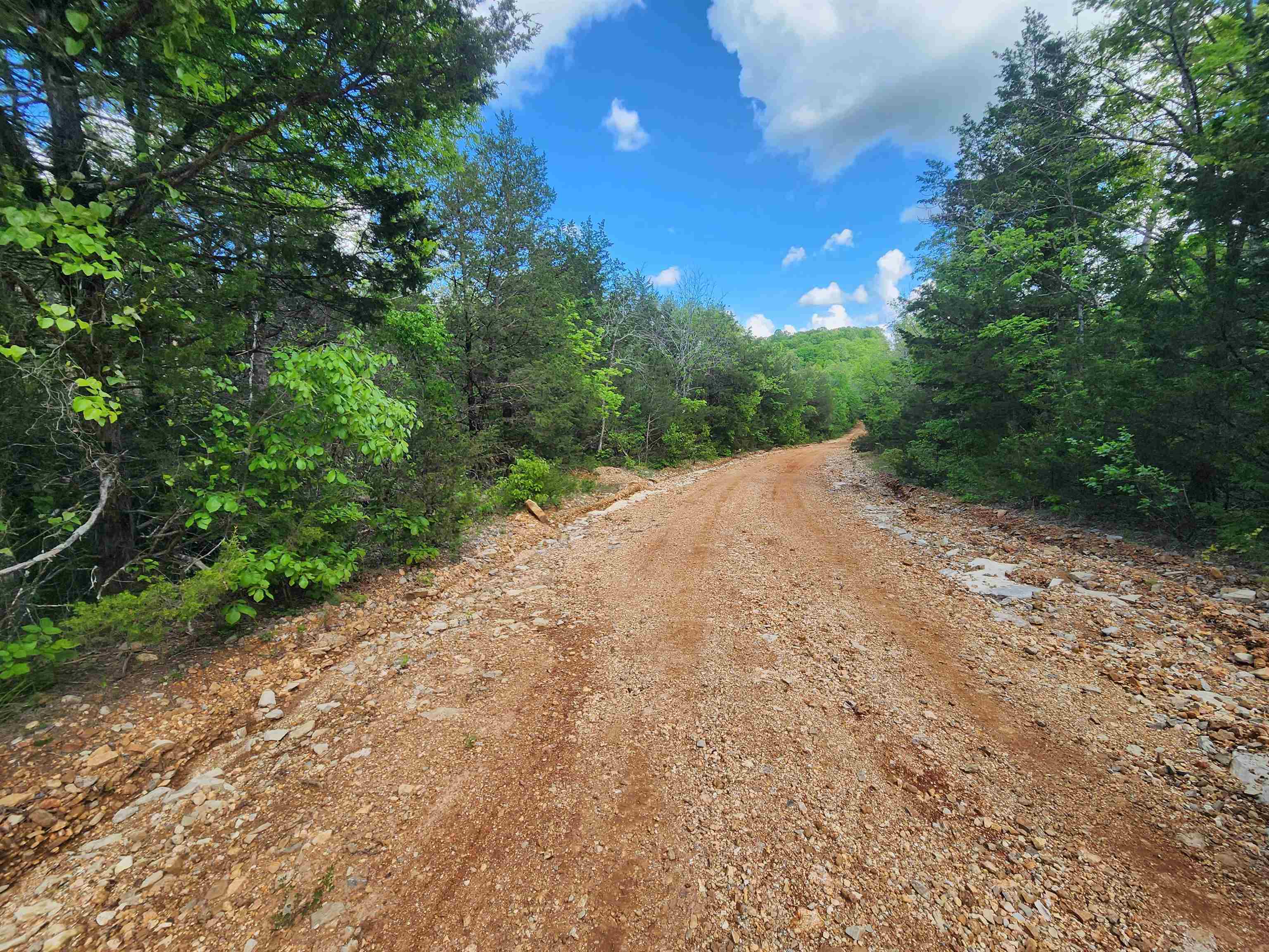 Strawberry Valley Road Property Photo 10