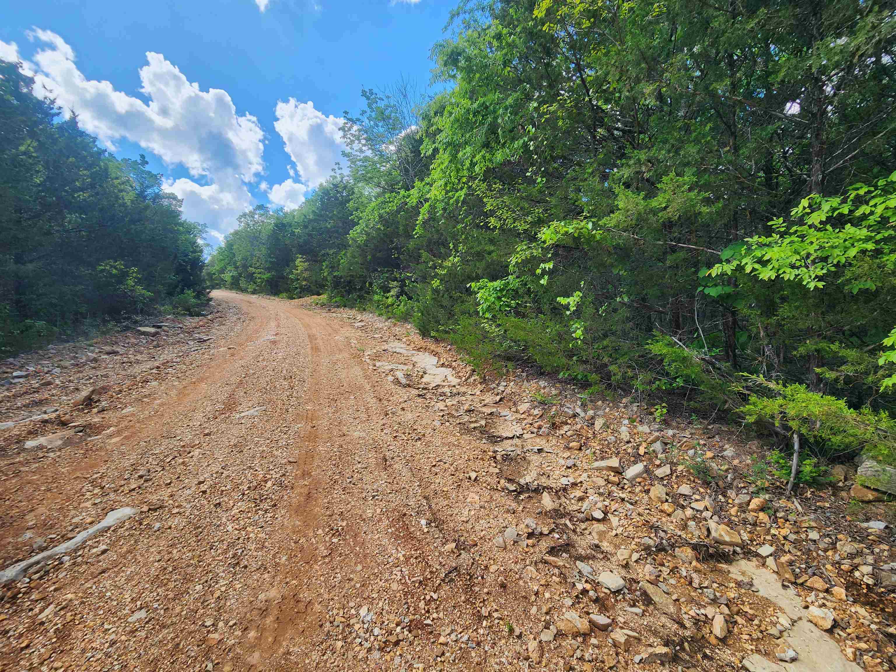 Strawberry Valley Road Property Photo 11