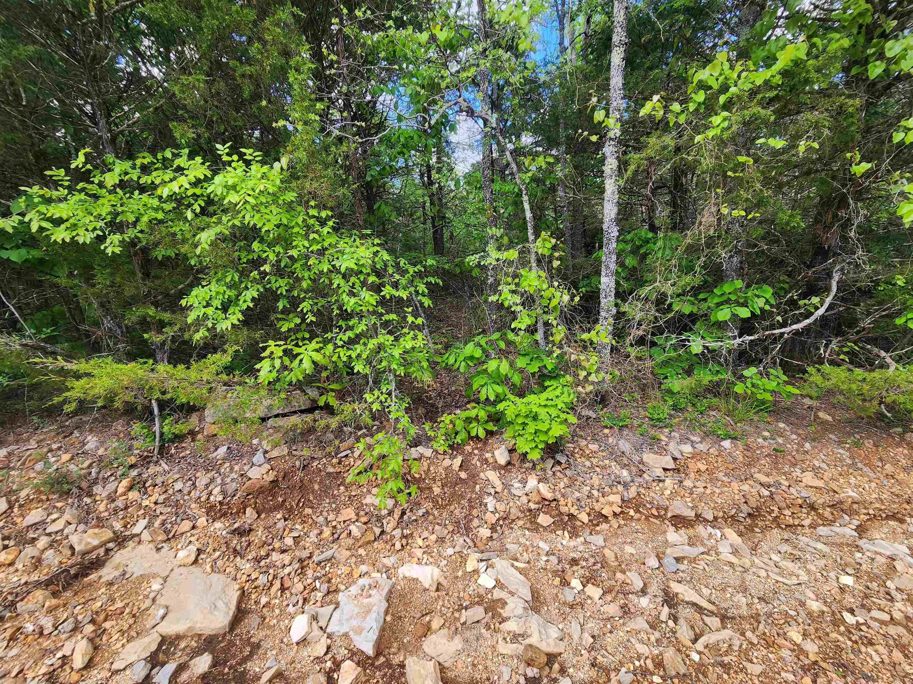 Strawberry Valley Road Property Photo 12