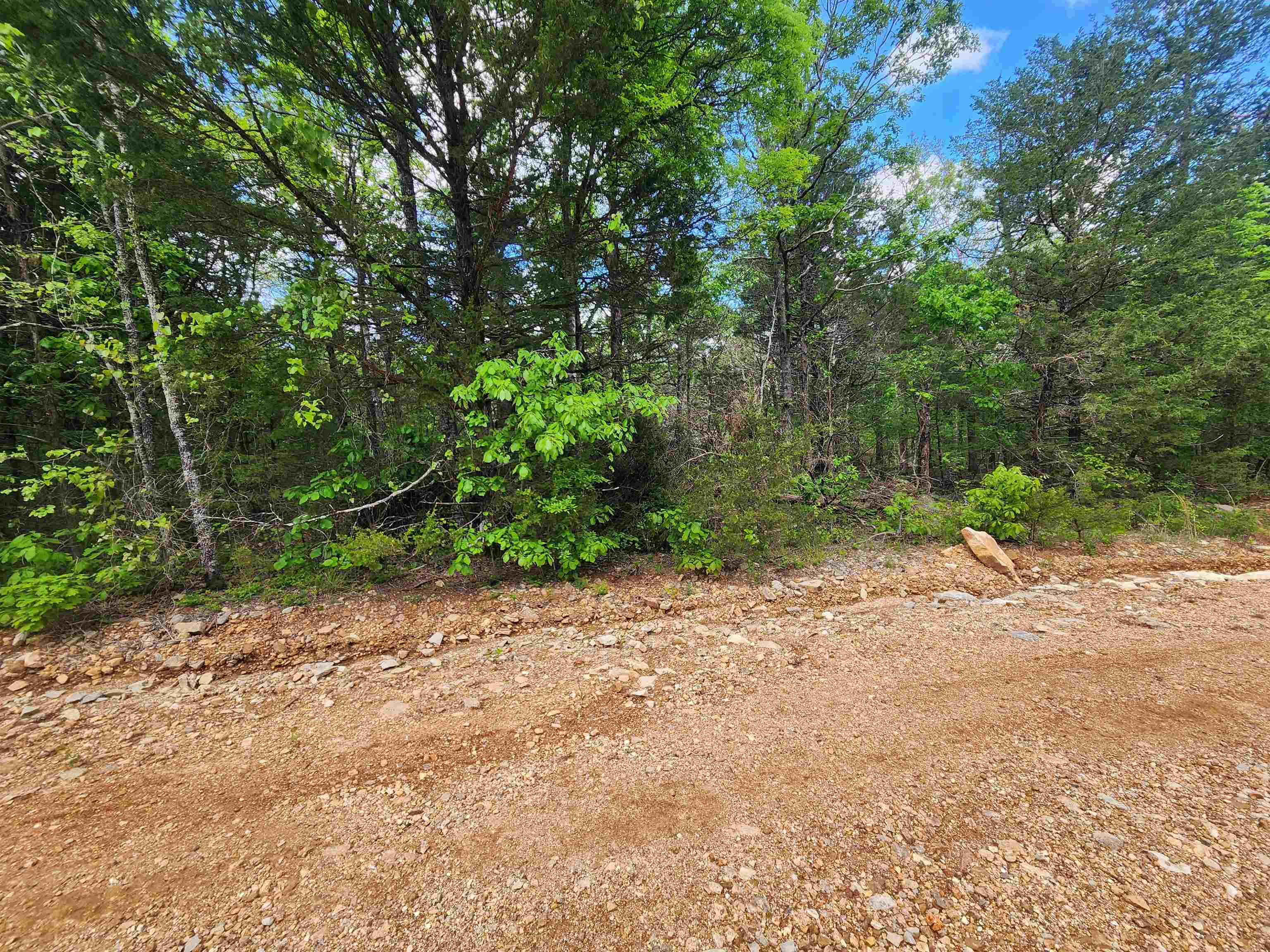 Strawberry Valley Road Property Photo 16