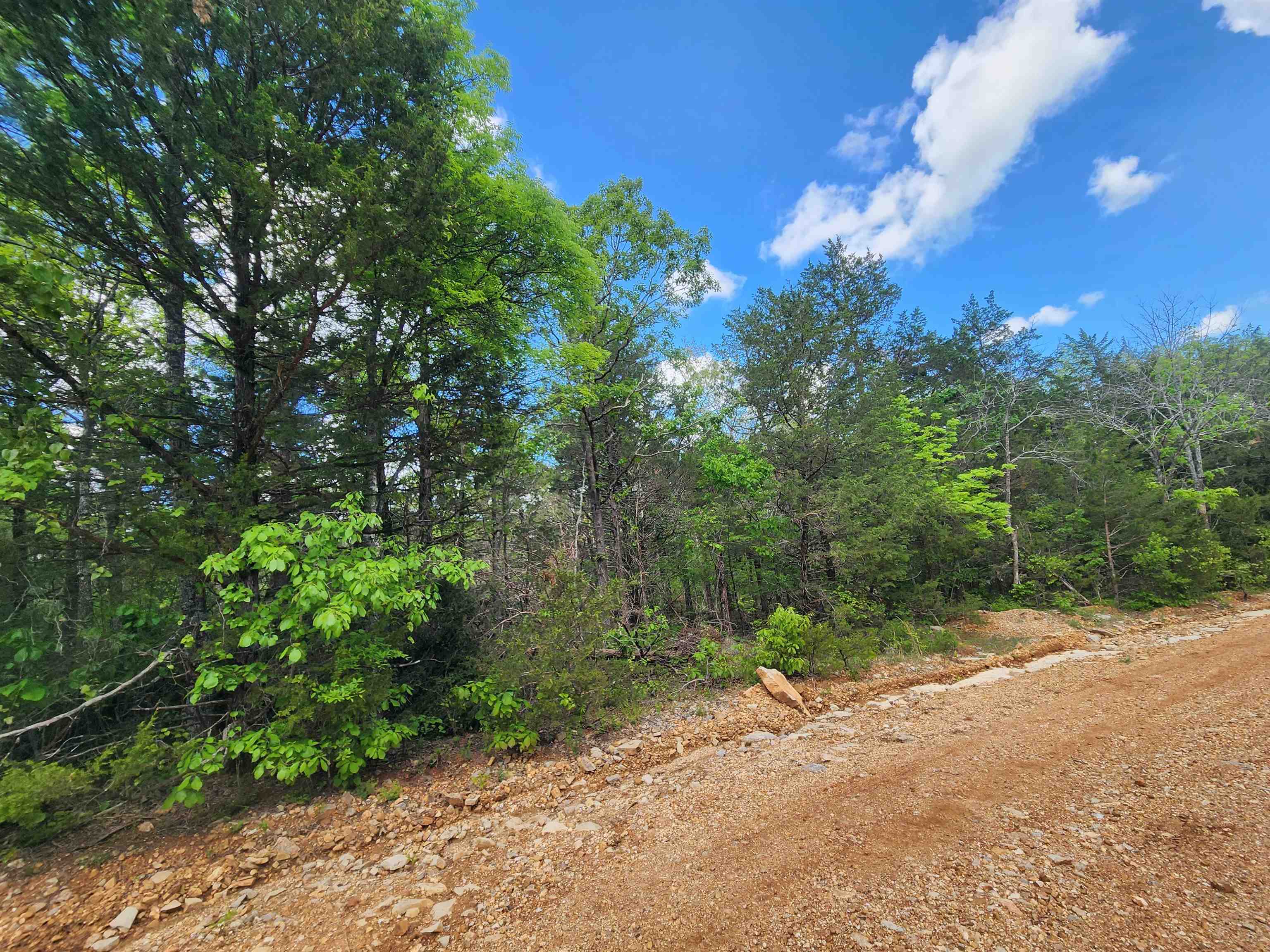 Strawberry Valley Road Property Photo 17