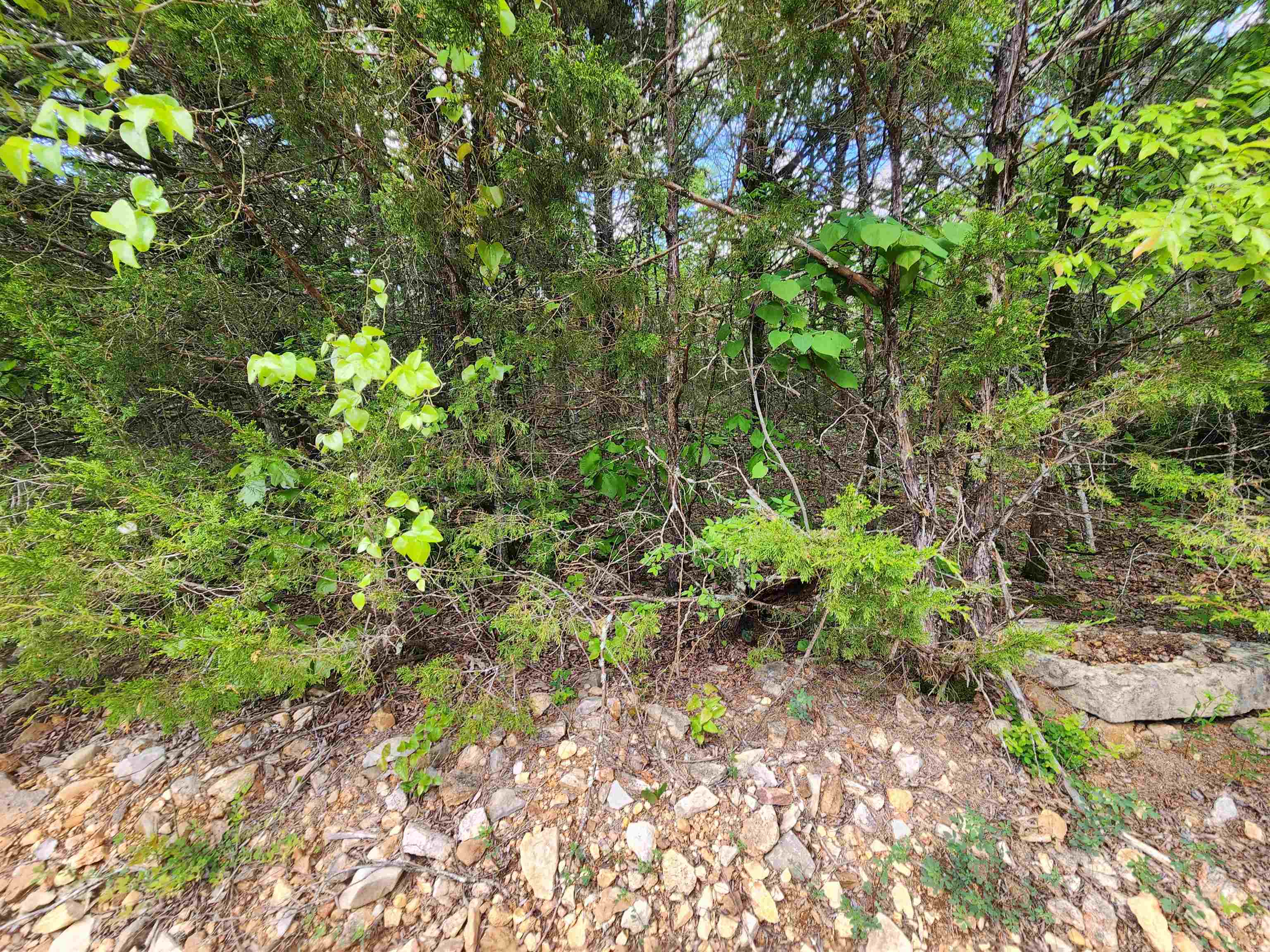 Strawberry Valley Road Property Photo 19