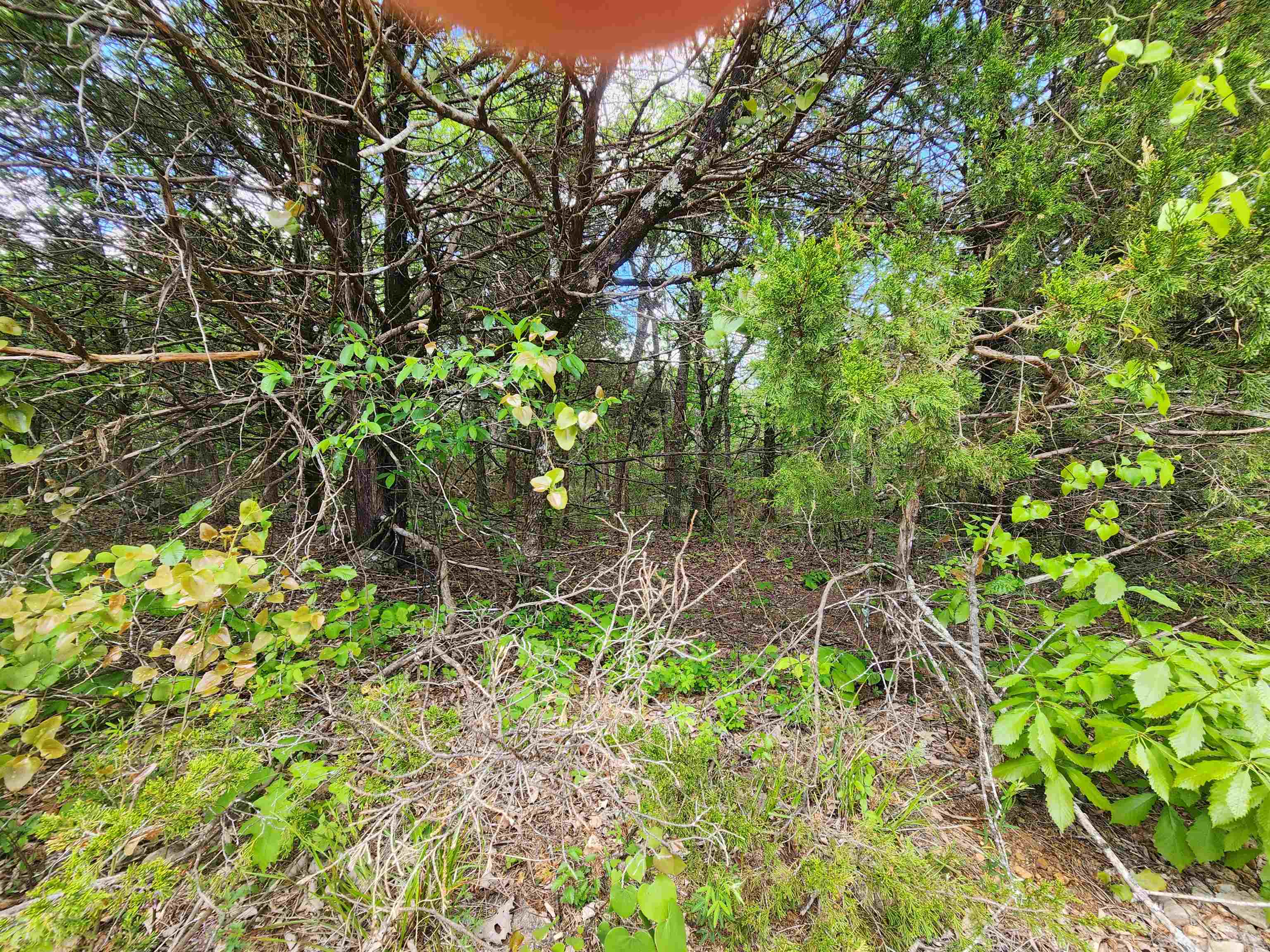 Strawberry Valley Road Property Photo 20