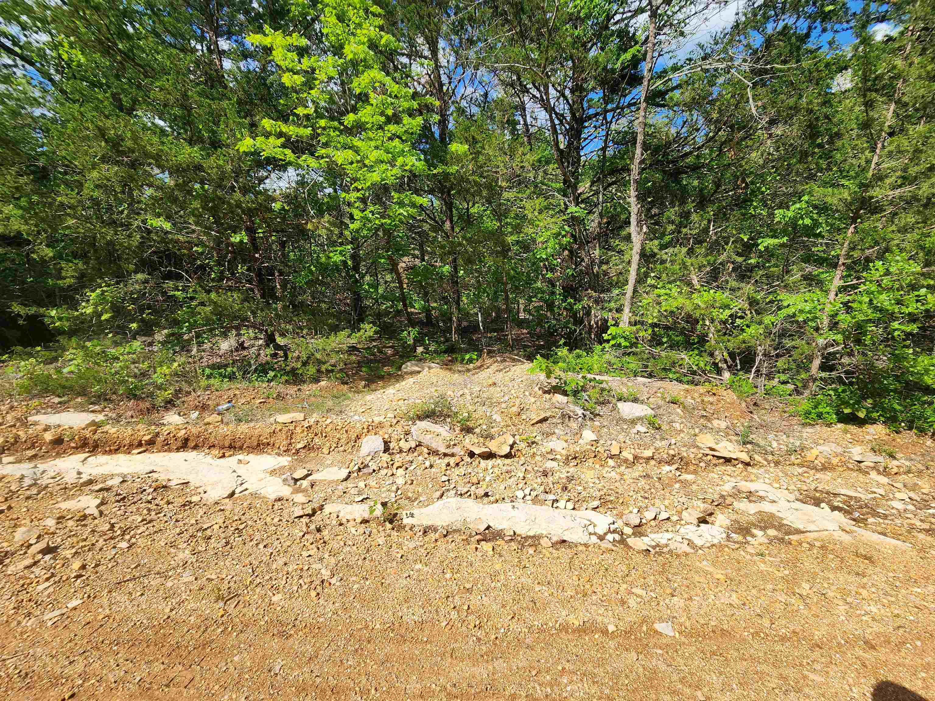 Strawberry Valley Road Property Photo 21