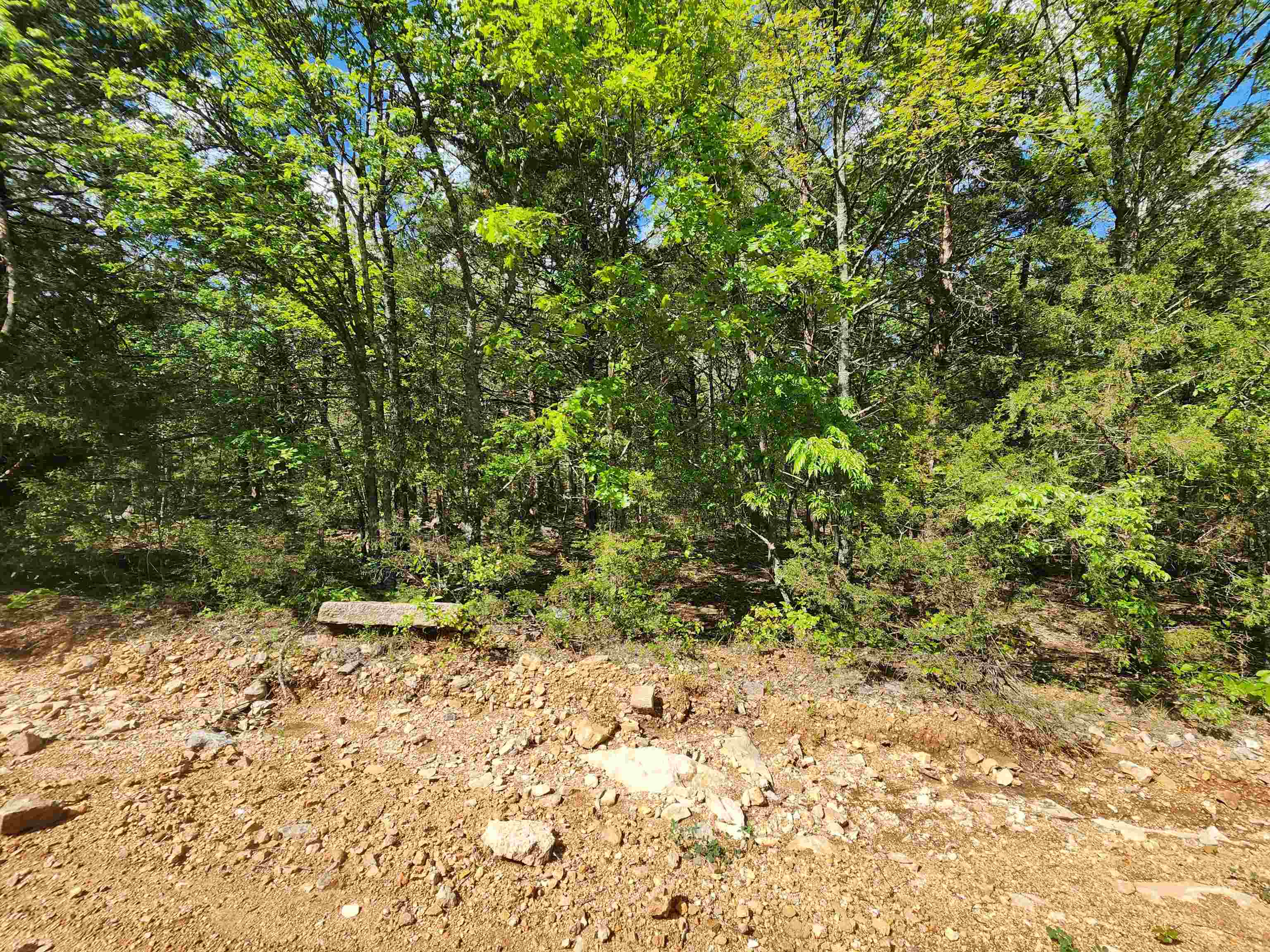 Strawberry Valley Road Property Photo 22