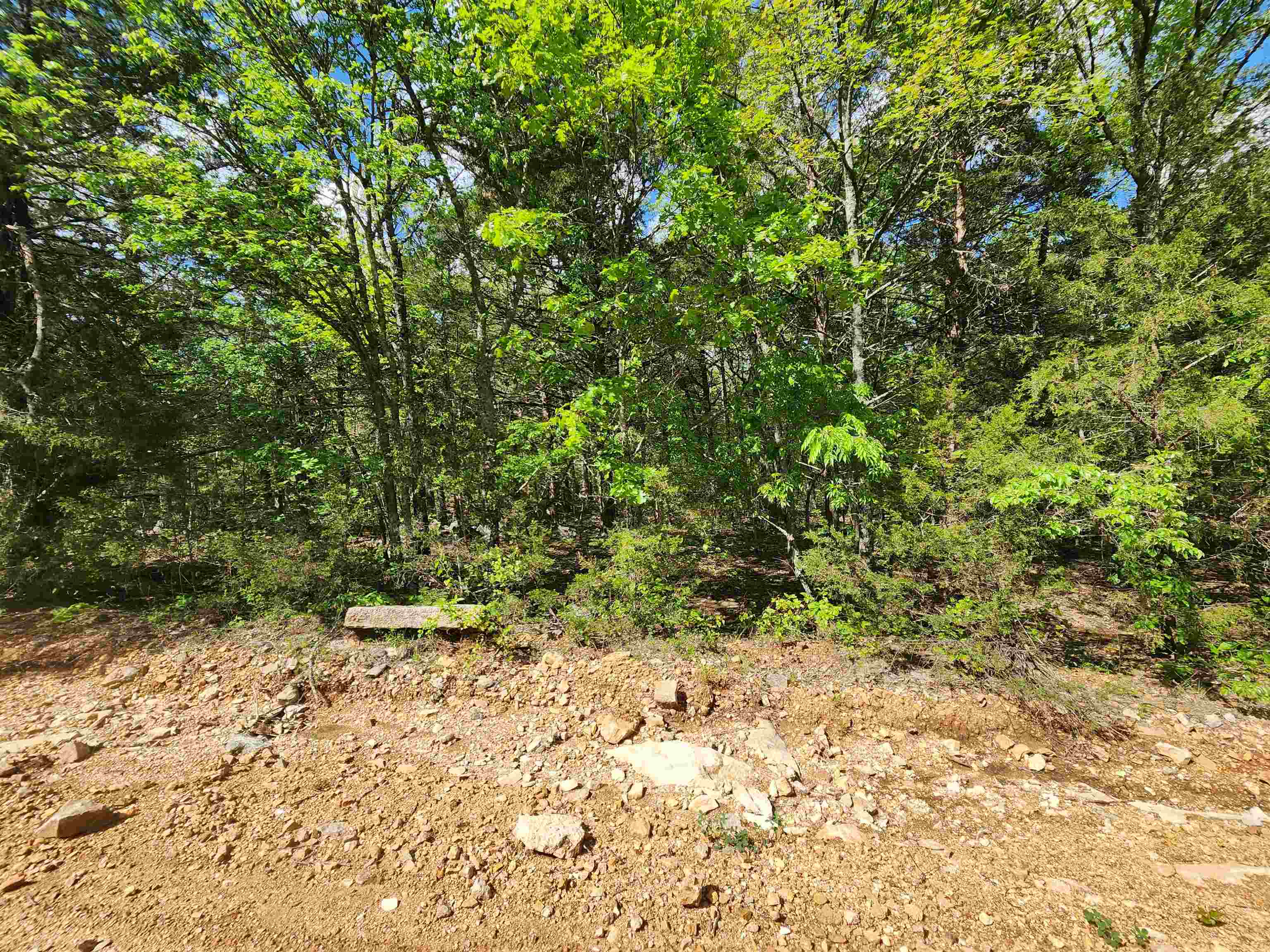 Strawberry Valley Road Property Photo 23