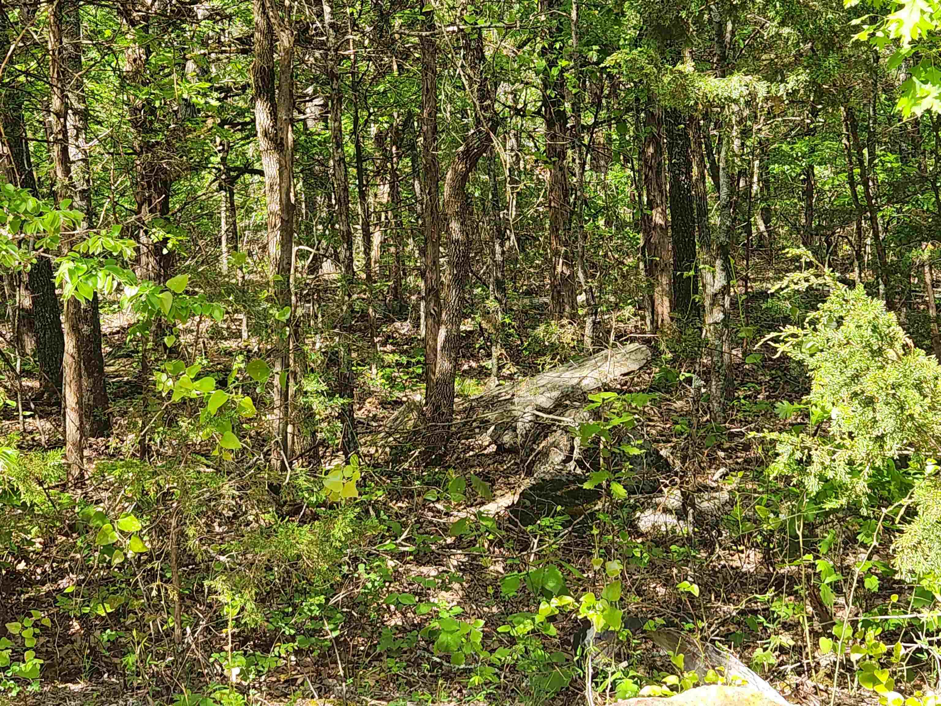Strawberry Valley Road Property Photo 25