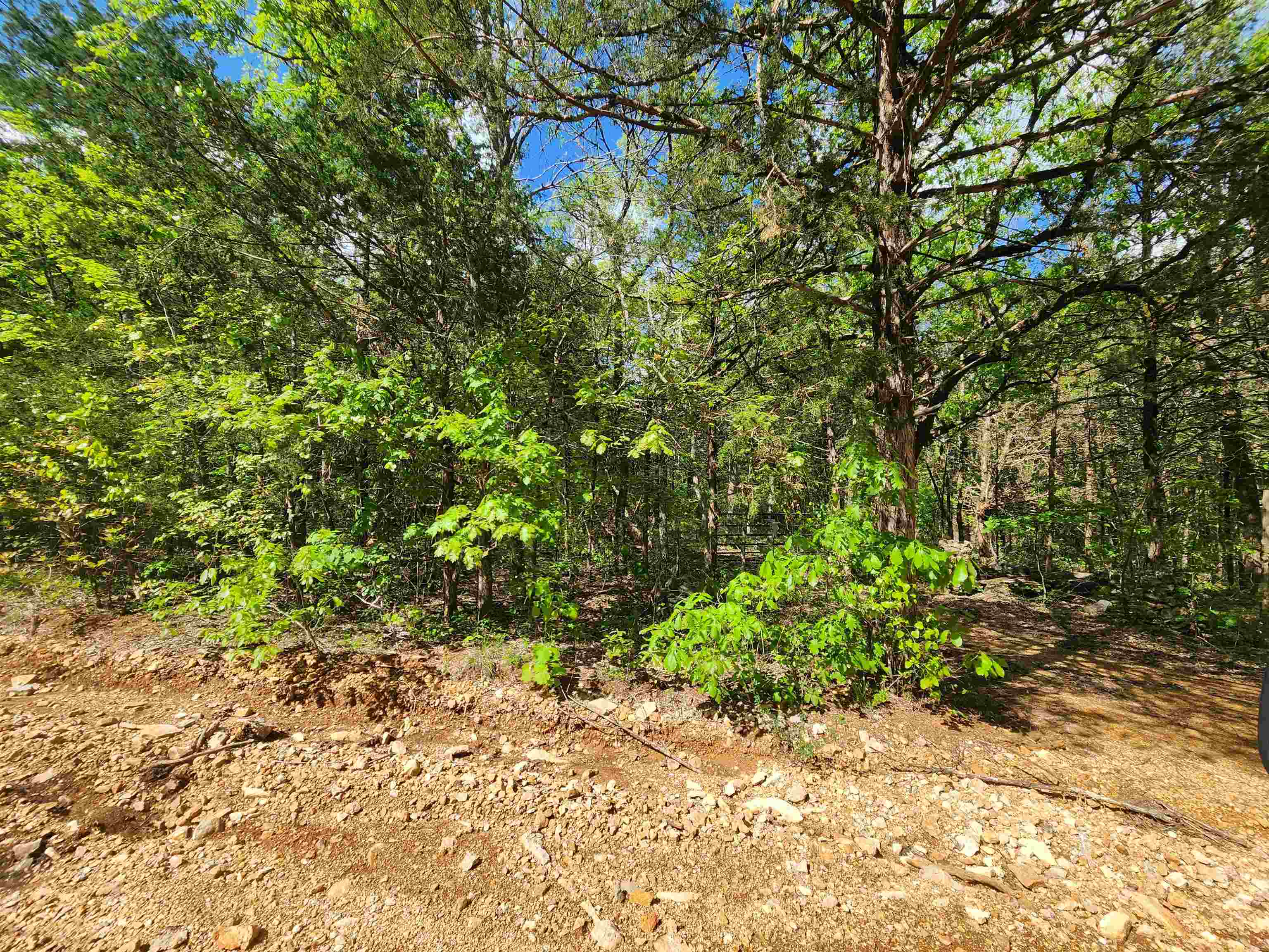 Strawberry Valley Road Property Photo 26