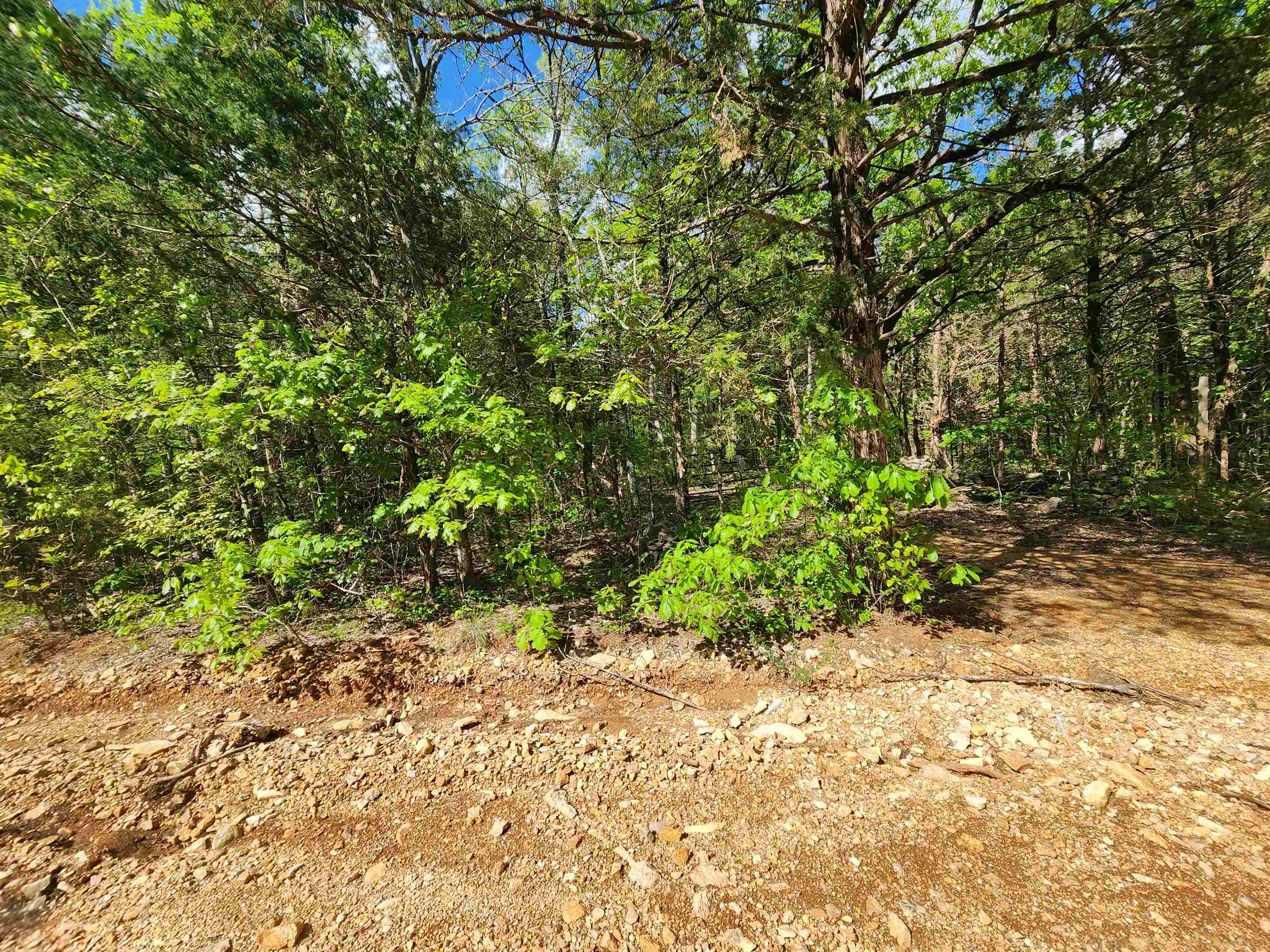 Strawberry Valley Road Property Photo 27