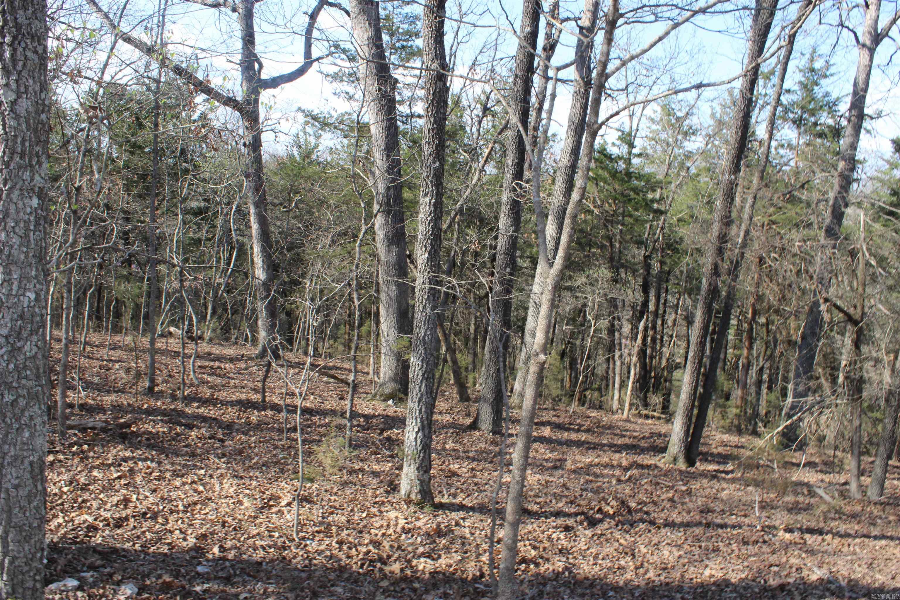 151 Vance Rd Property Photo 10