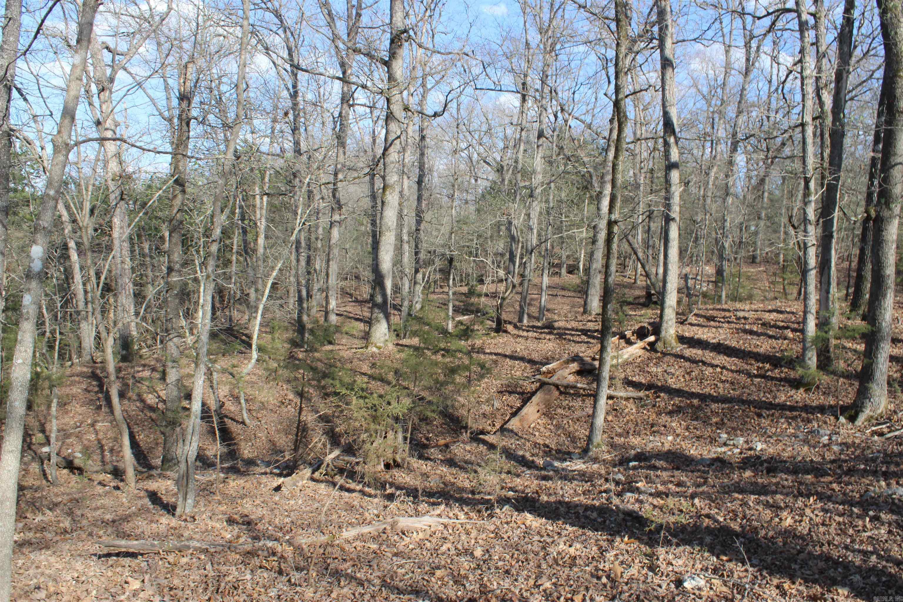 151 Vance Rd Property Photo 11