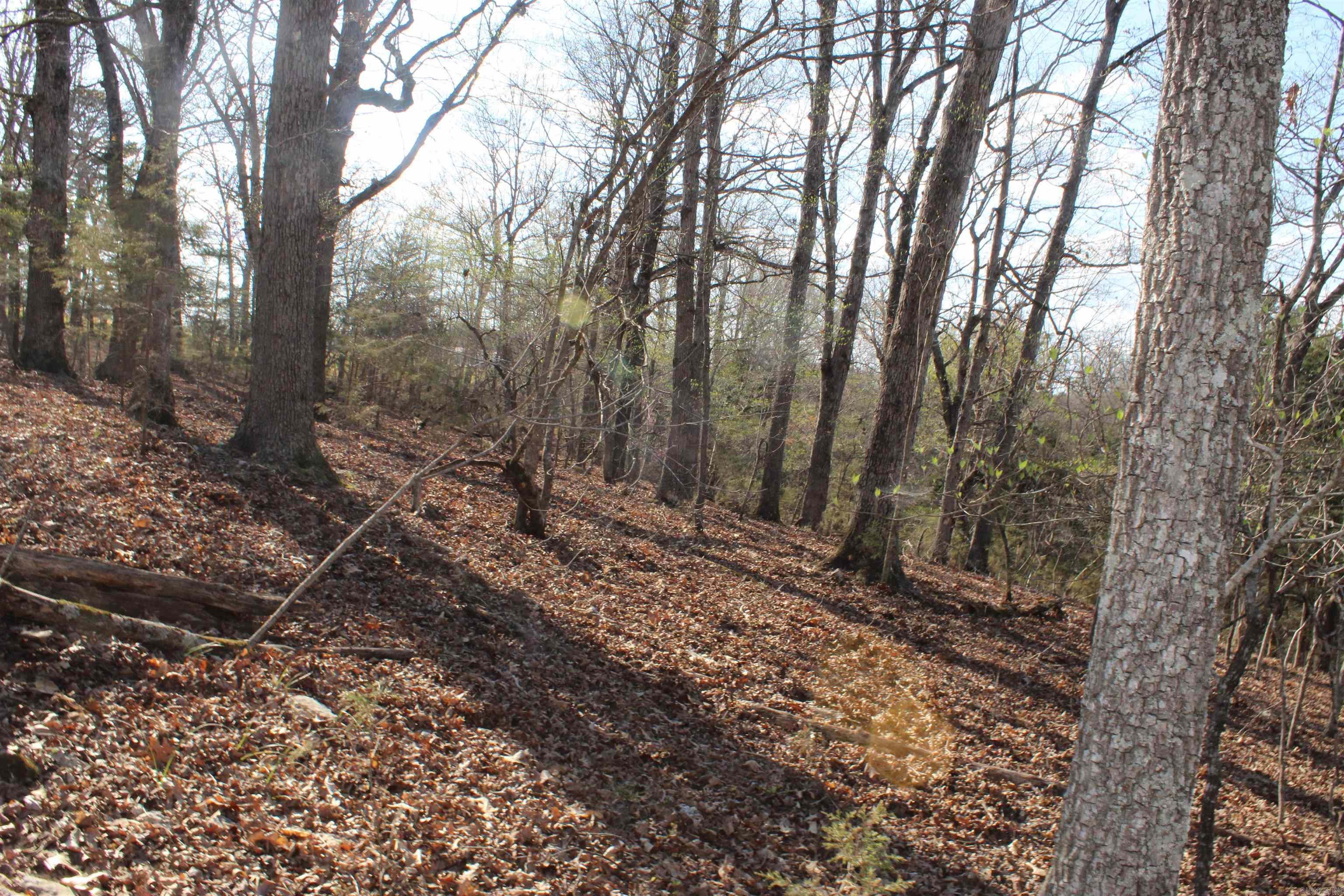 151 Vance Rd Property Photo 12