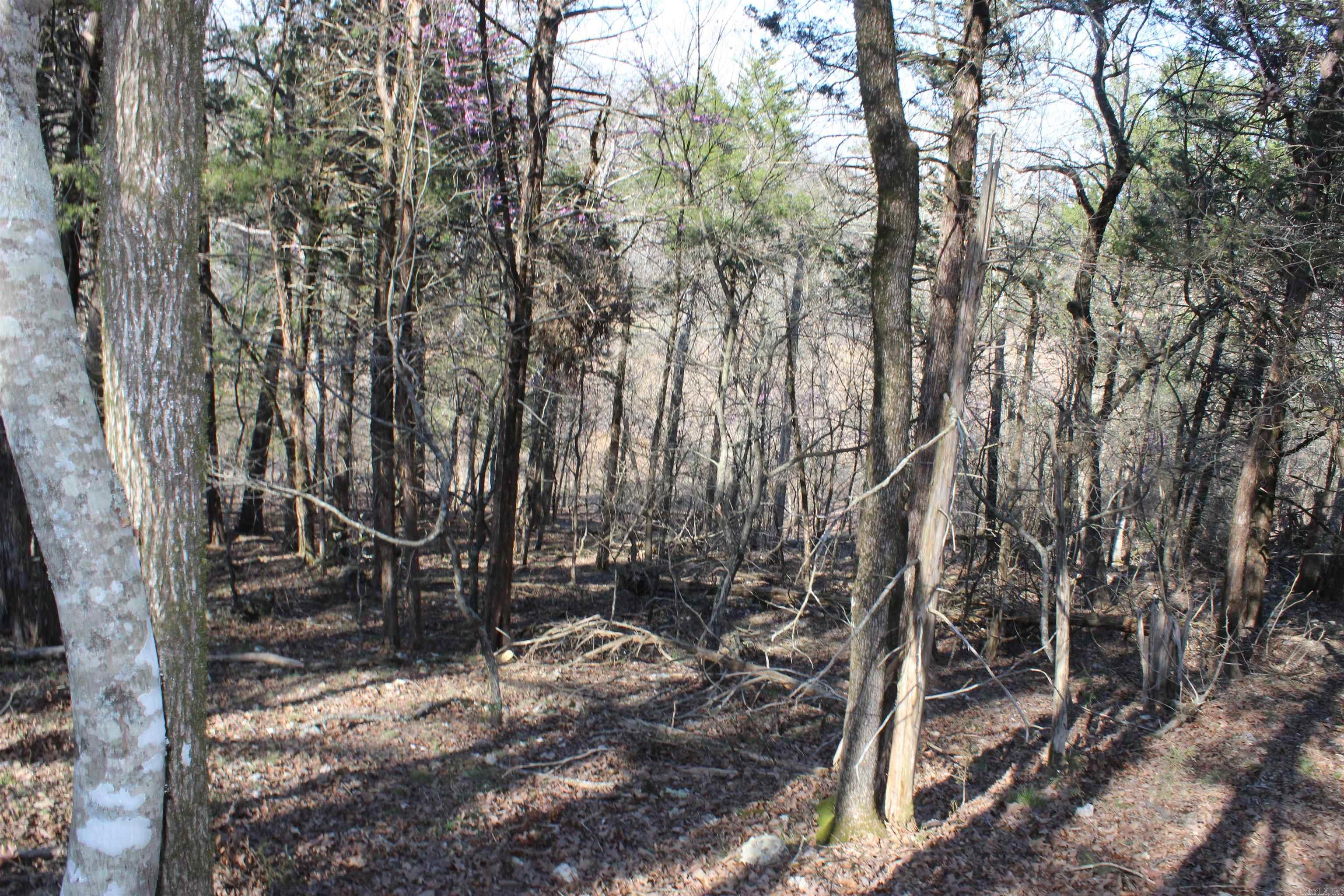 151 Vance Rd Property Photo 13