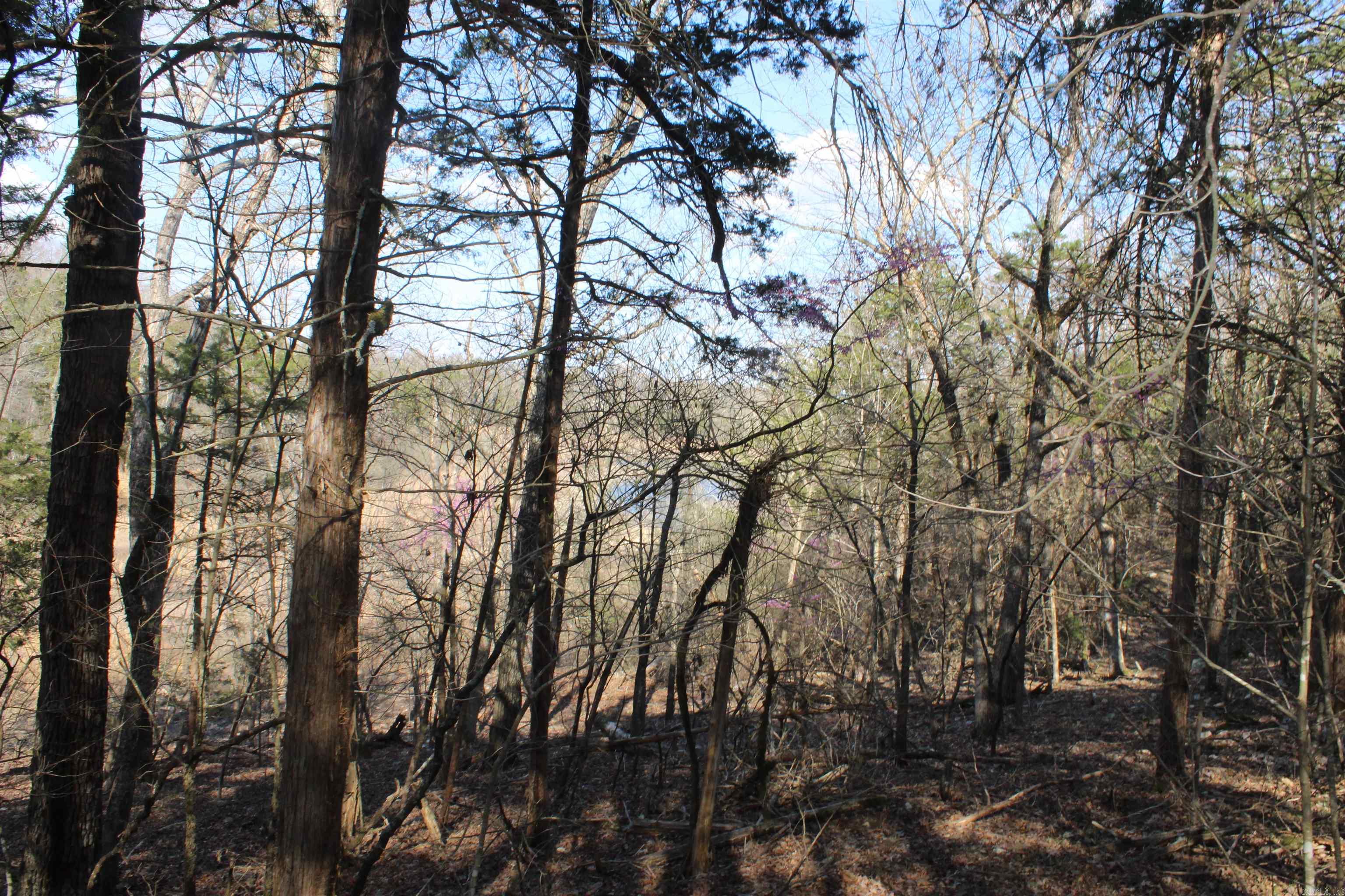 151 Vance Rd Property Photo 15