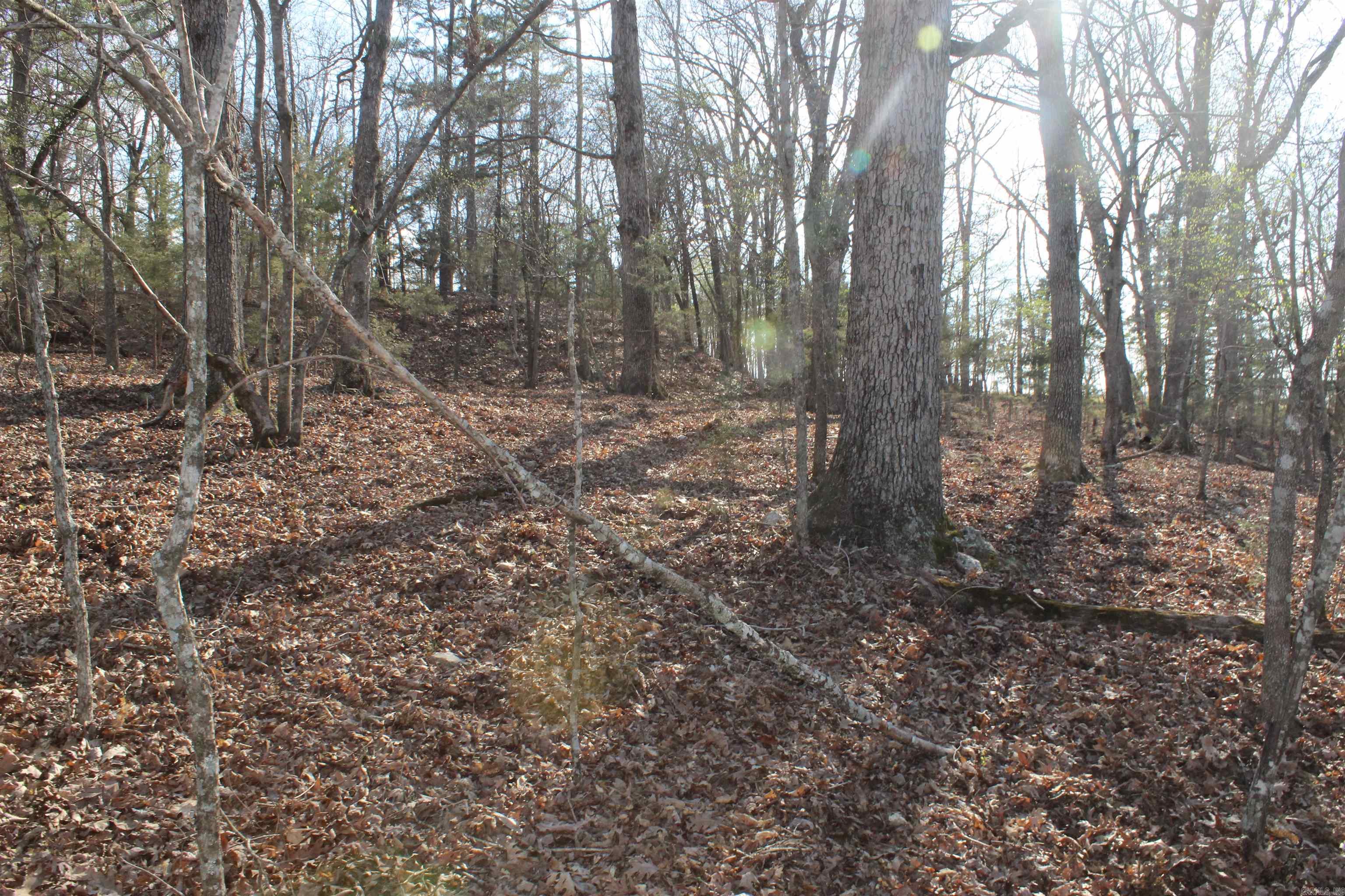 151 Vance Rd Property Photo 16