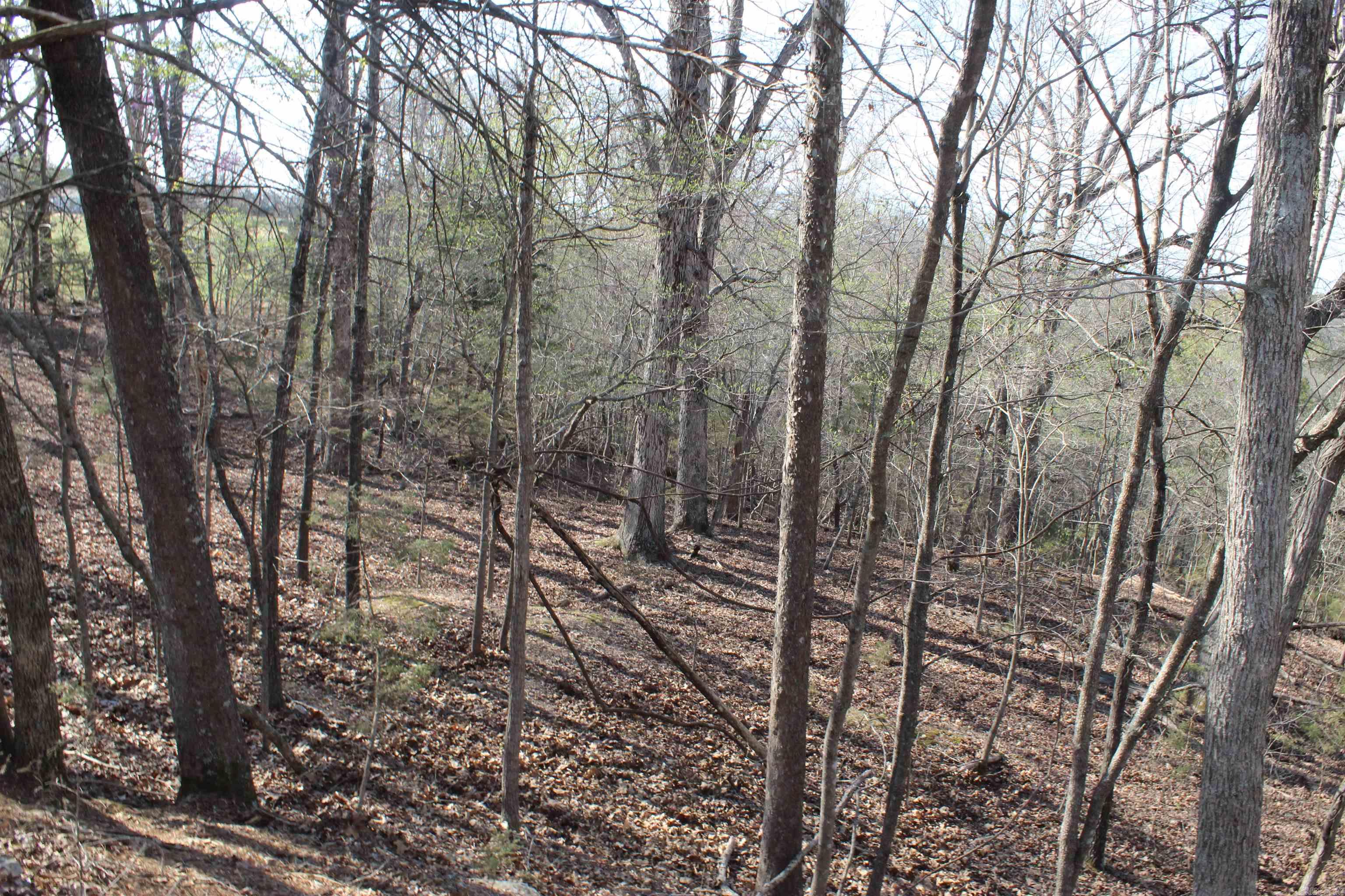 151 Vance Rd Property Photo 17
