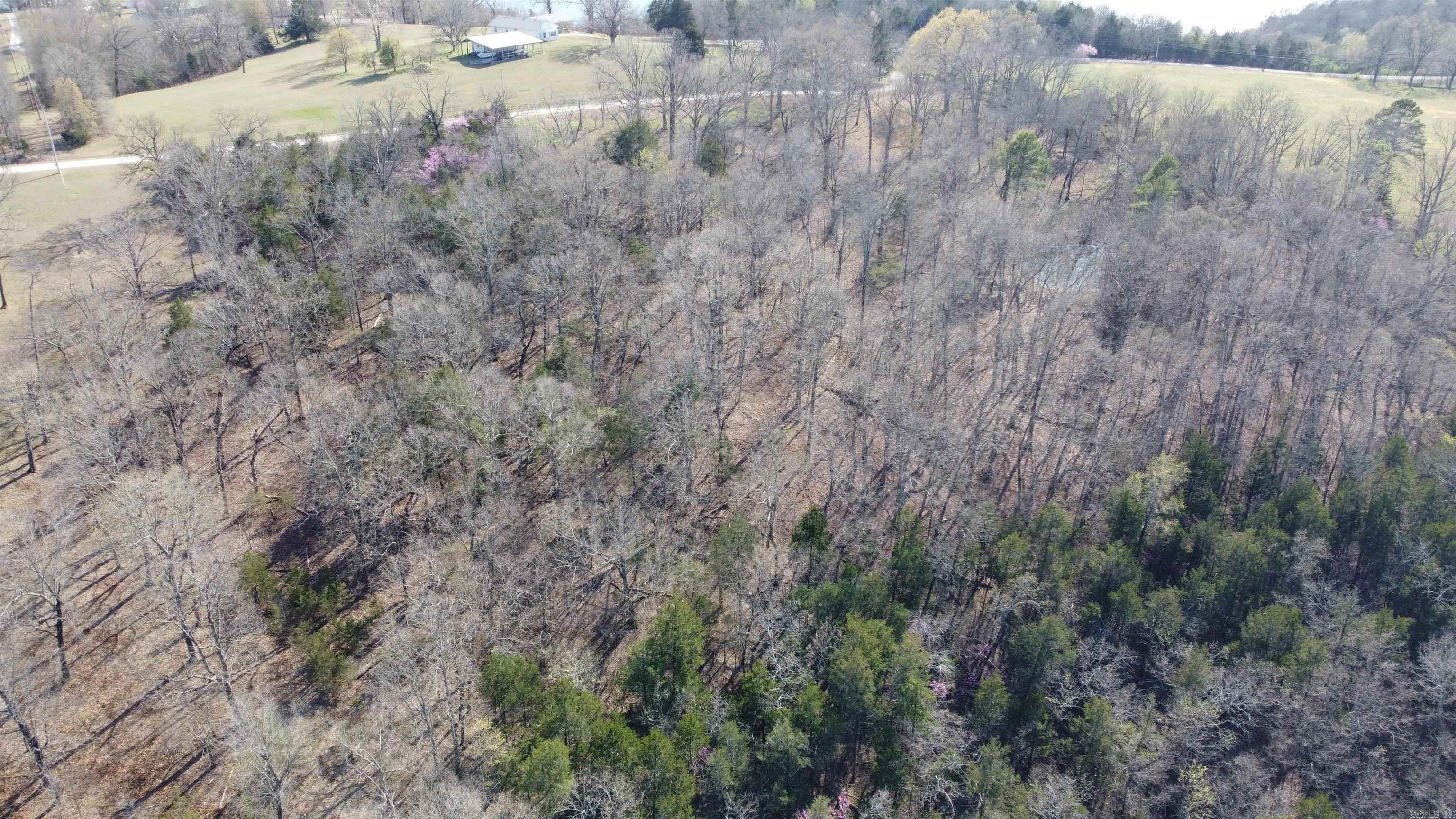 151 Vance Rd Property Photo 19