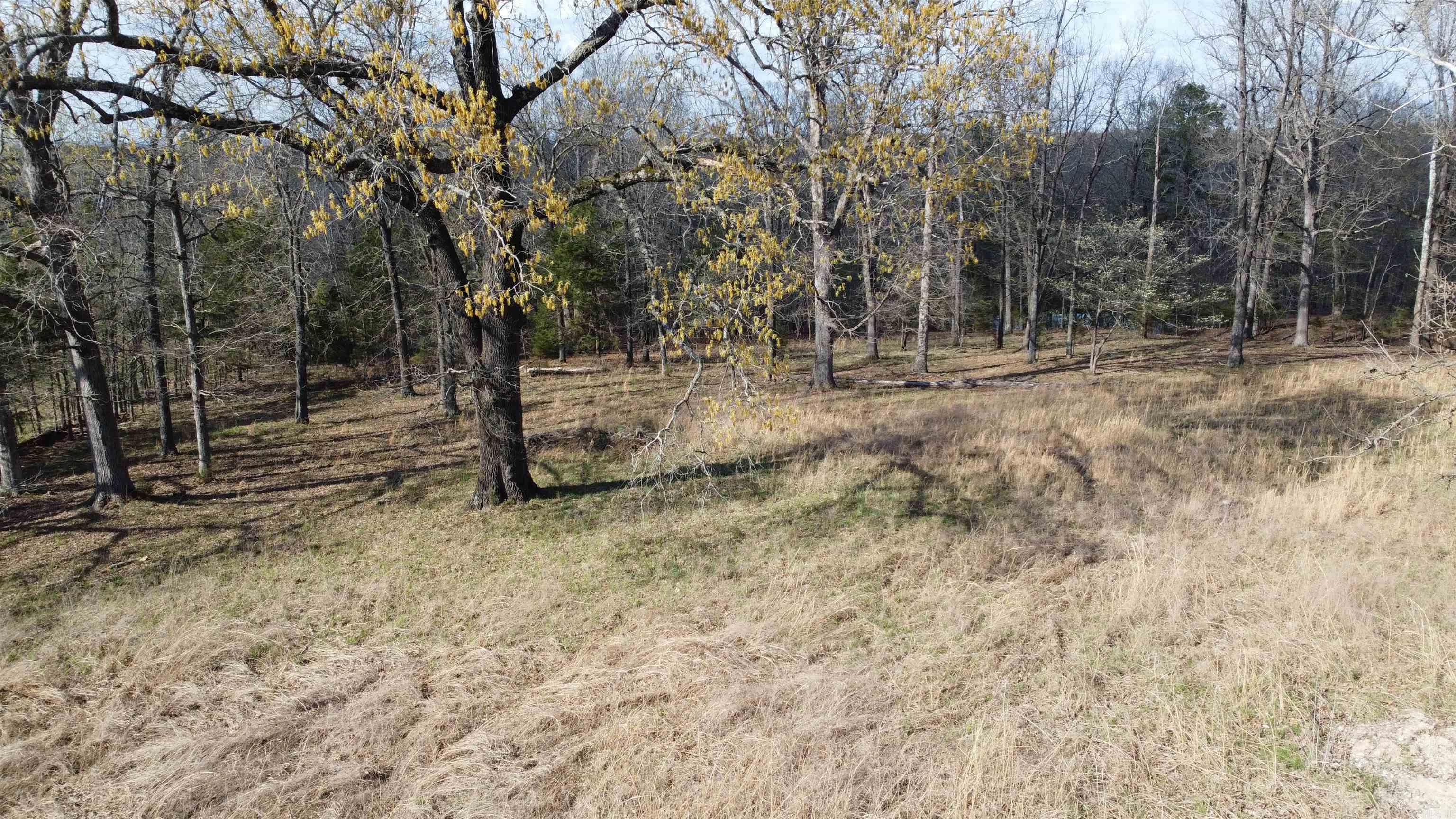 151 Vance Rd Property Photo 22