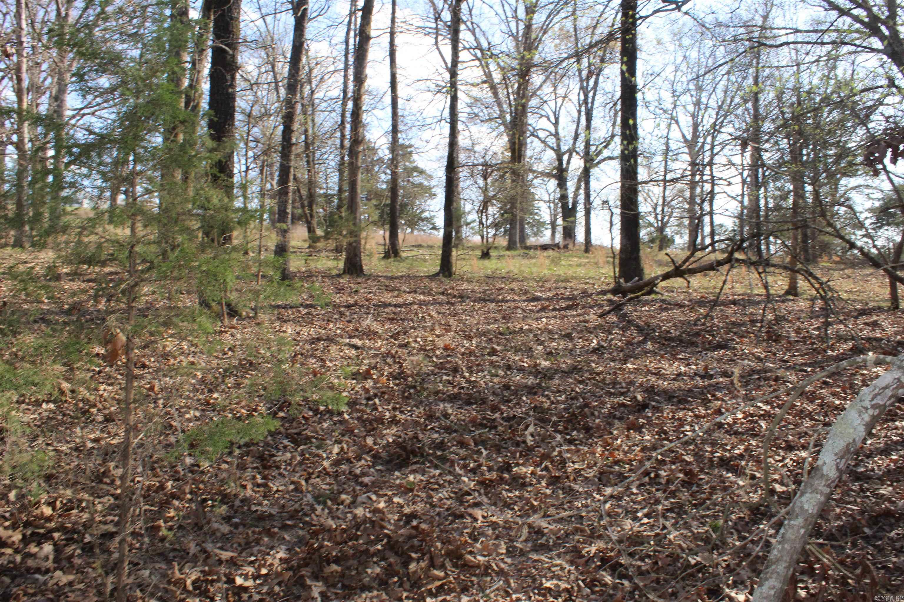 151 Vance Rd Property Photo 26