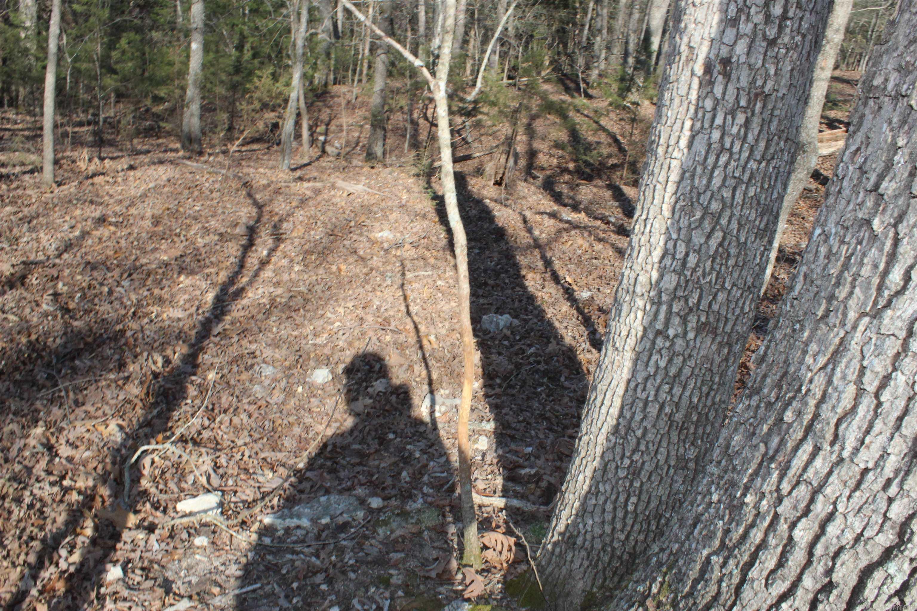 151 Vance Rd Property Photo 29