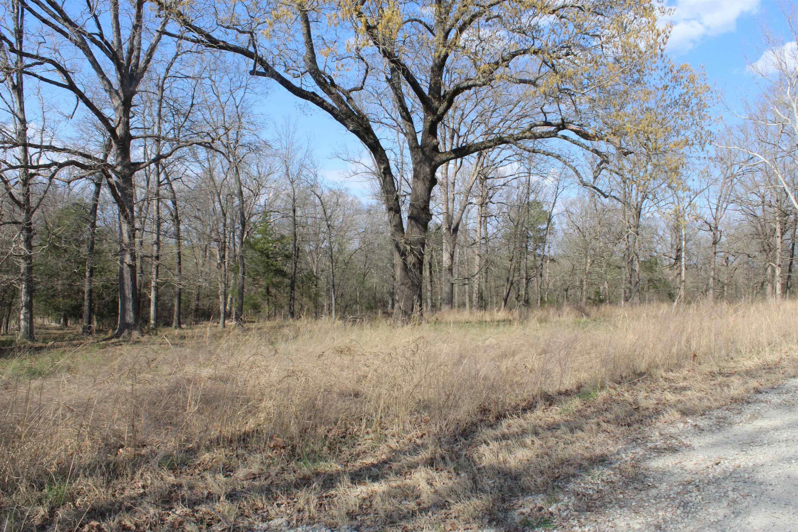 151 Vance Rd Property Photo 38