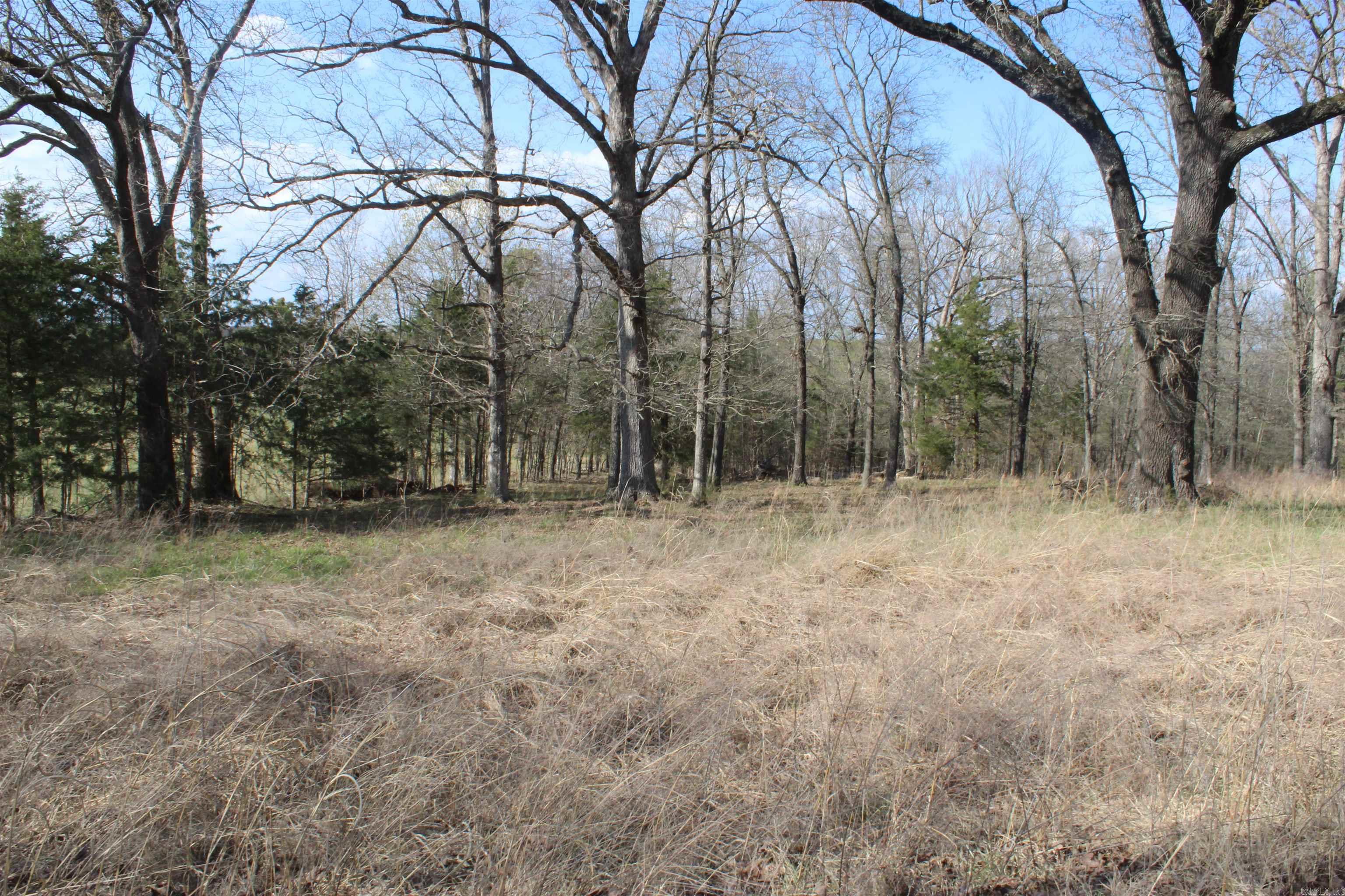 151 Vance Rd Property Photo 39