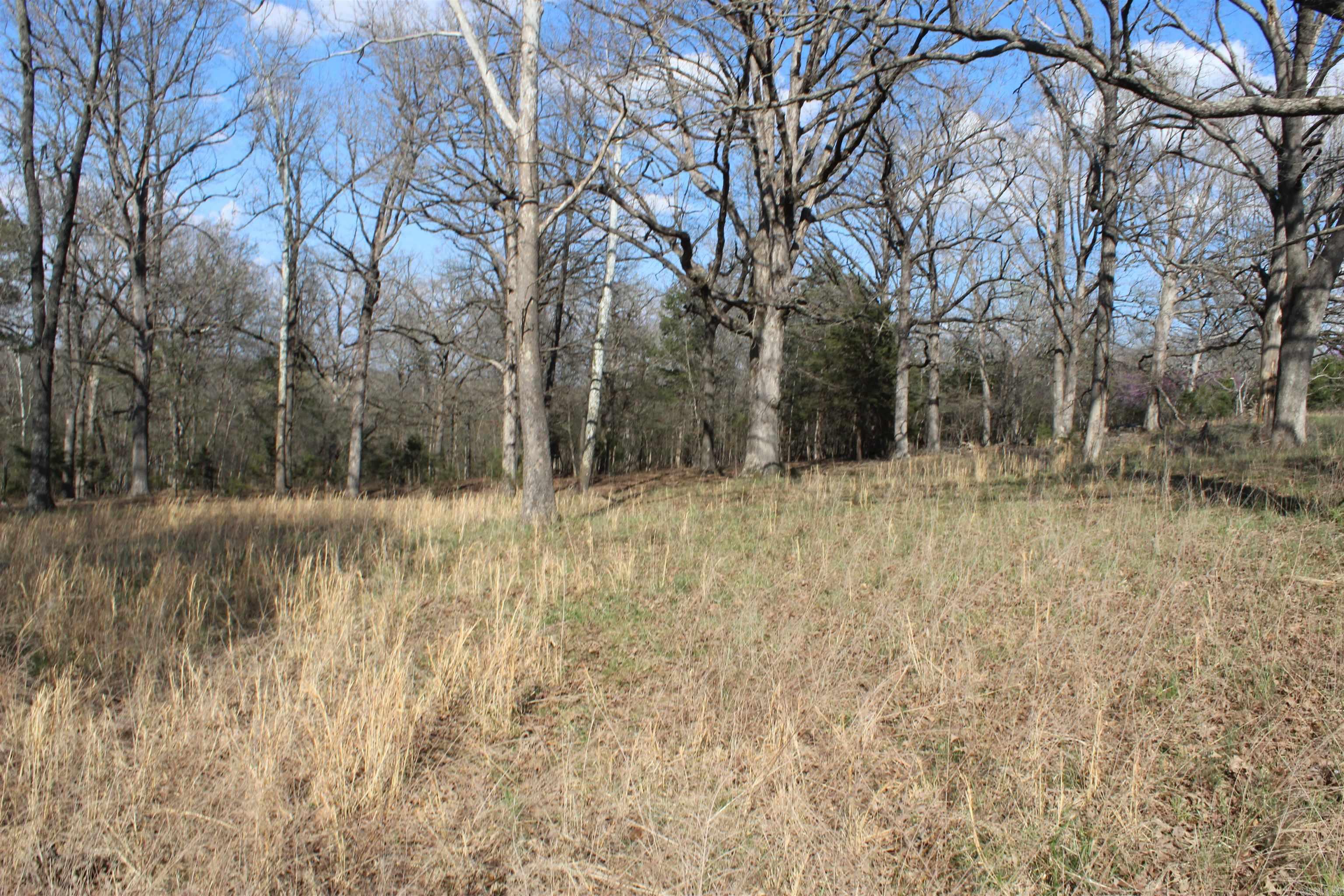 151 Vance Rd Property Photo 40