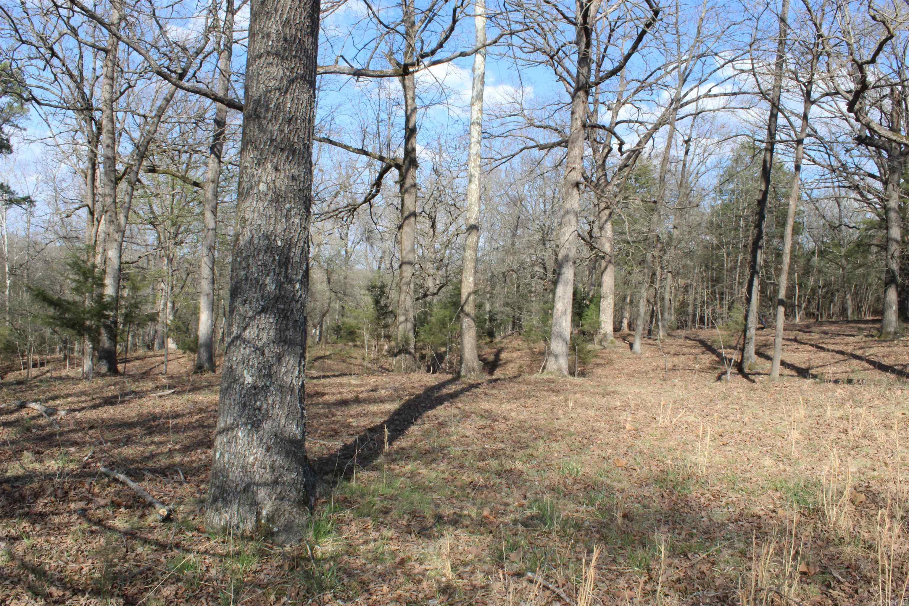 151 Vance Rd Property Photo 41