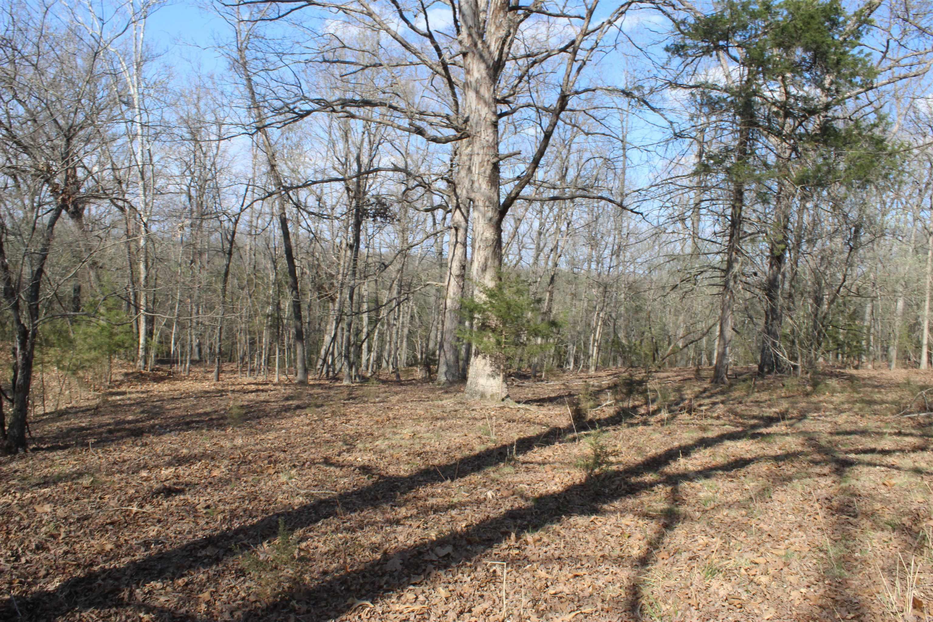 151 Vance Rd Property Photo 42