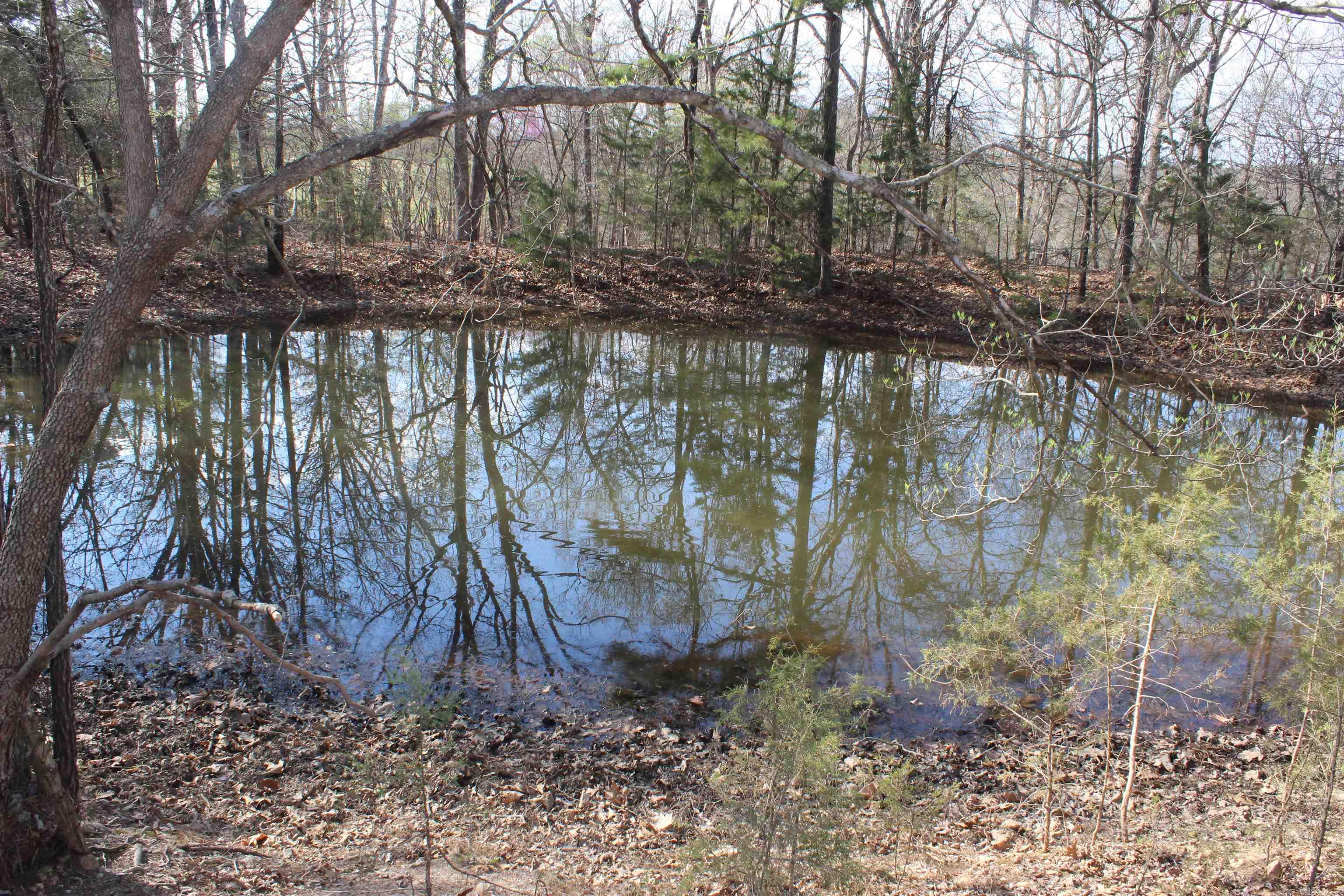 151 Vance Rd Property Photo 43