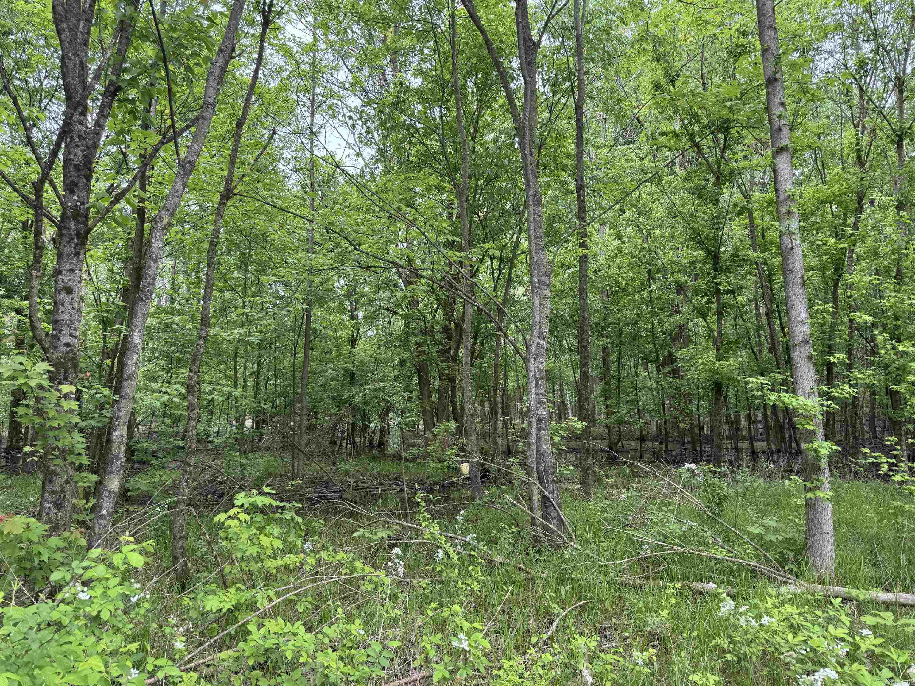 000 Hwy 64 Property Photo 10