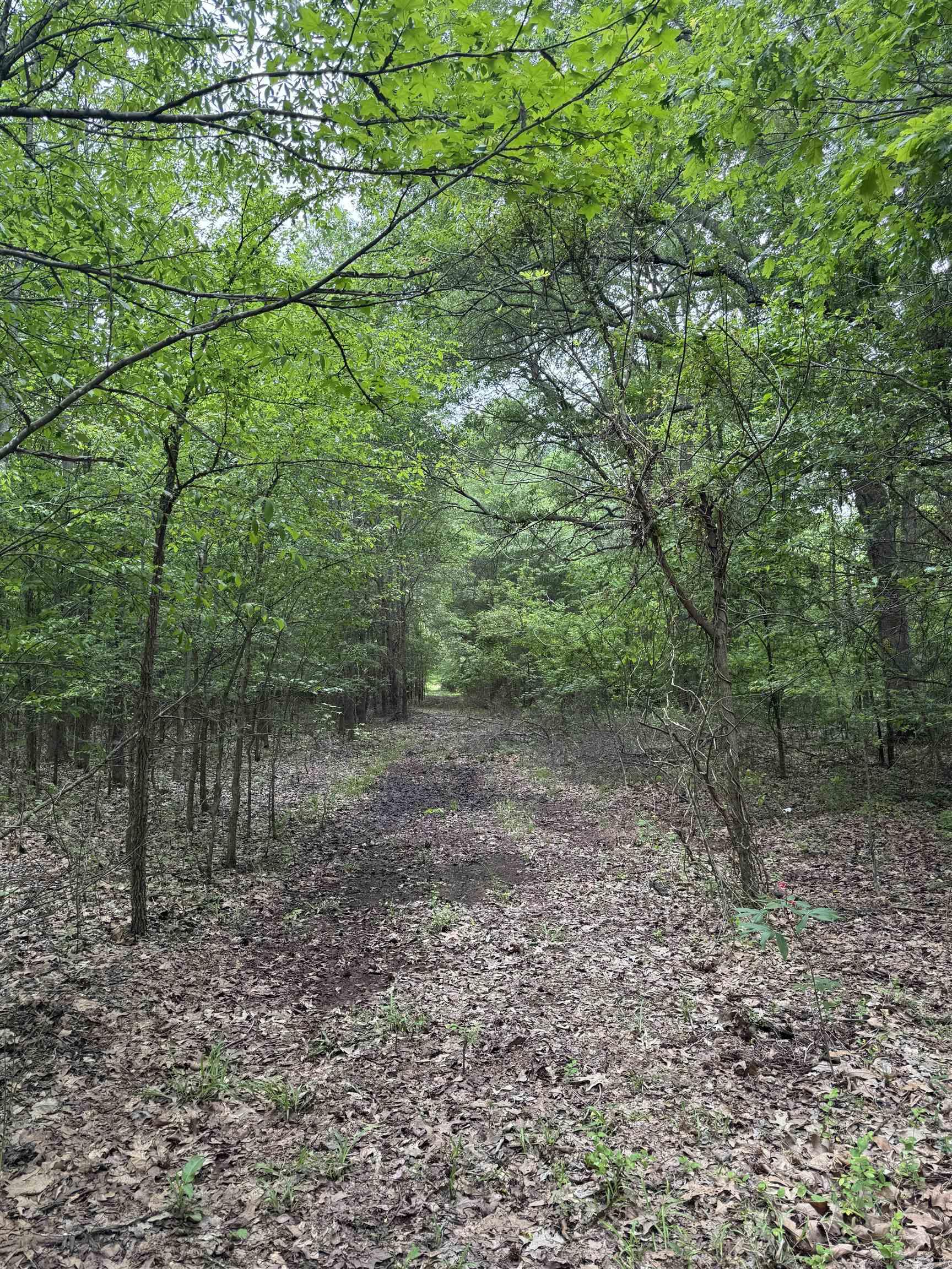 000 Hwy 64 Property Photo 11